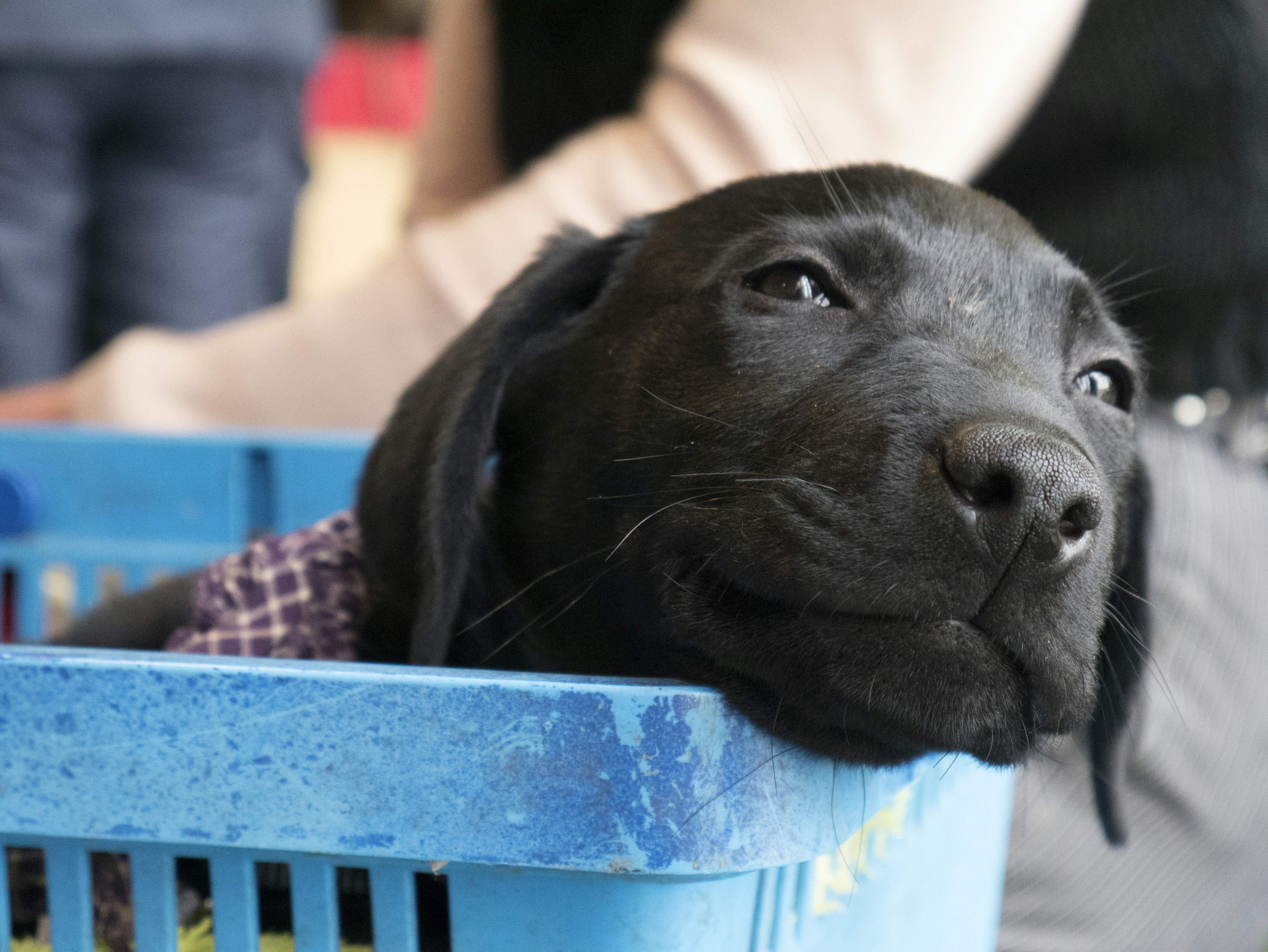 Free Unsplash photo from Maurice Smeets