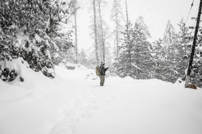 person standing in the middle of snowfield near trees