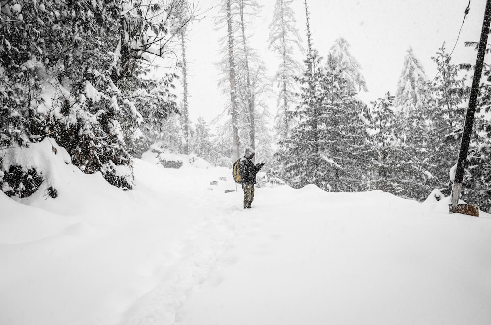 persona de pie en medio de un campo de nieve cerca de los árboles