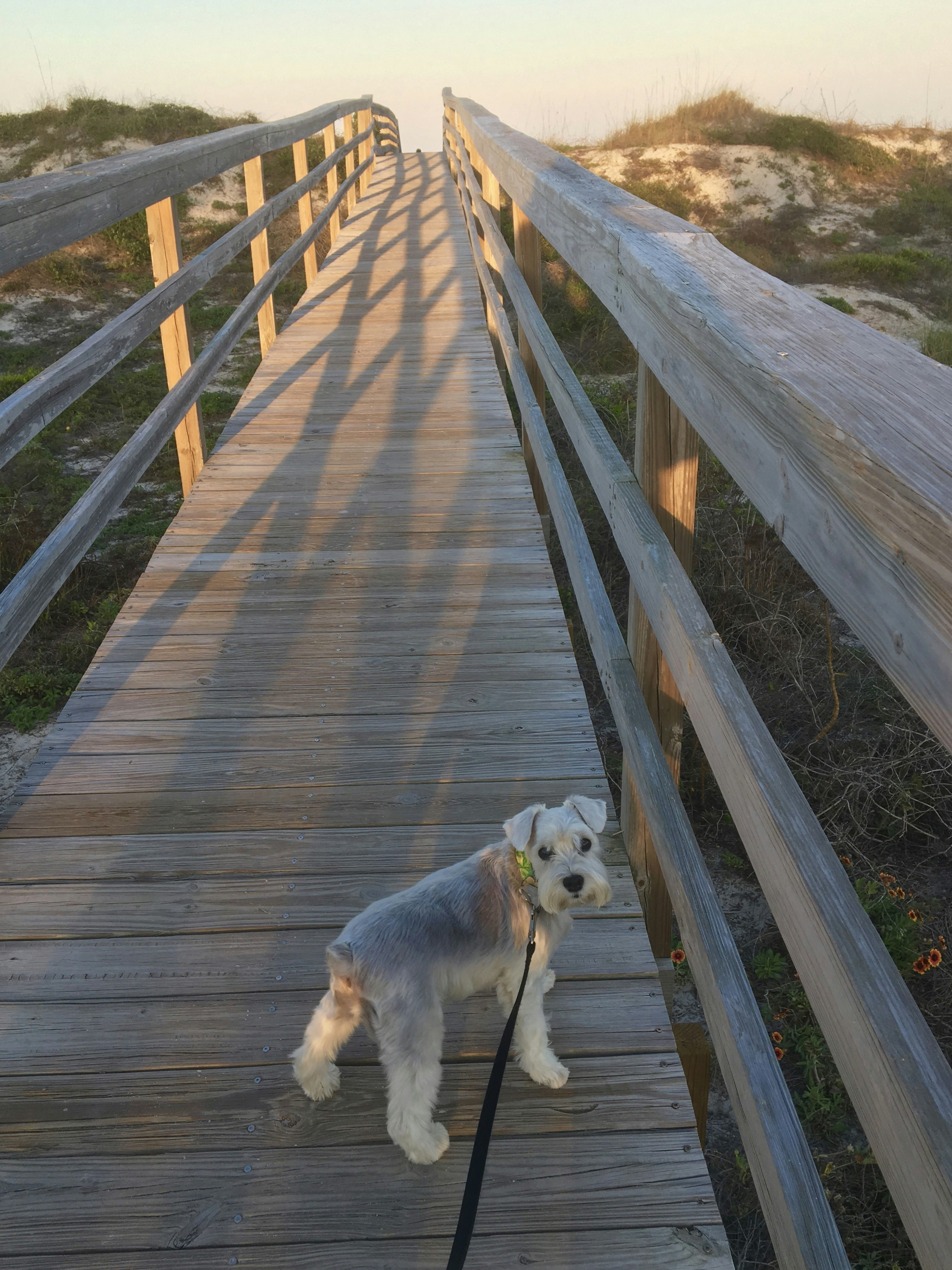 Free Unsplash photo from Sherrie Hitchcock