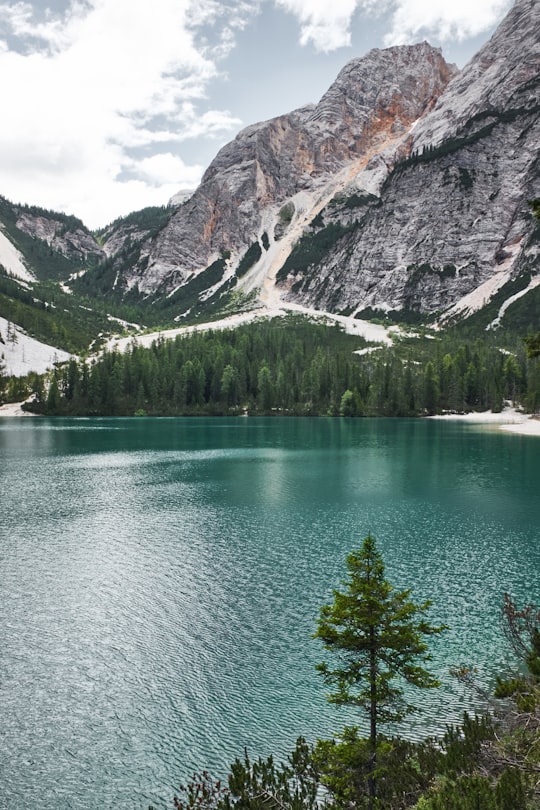 photo of trees near body of water in Parco naturale di Fanes-Sennes-Braies Italy