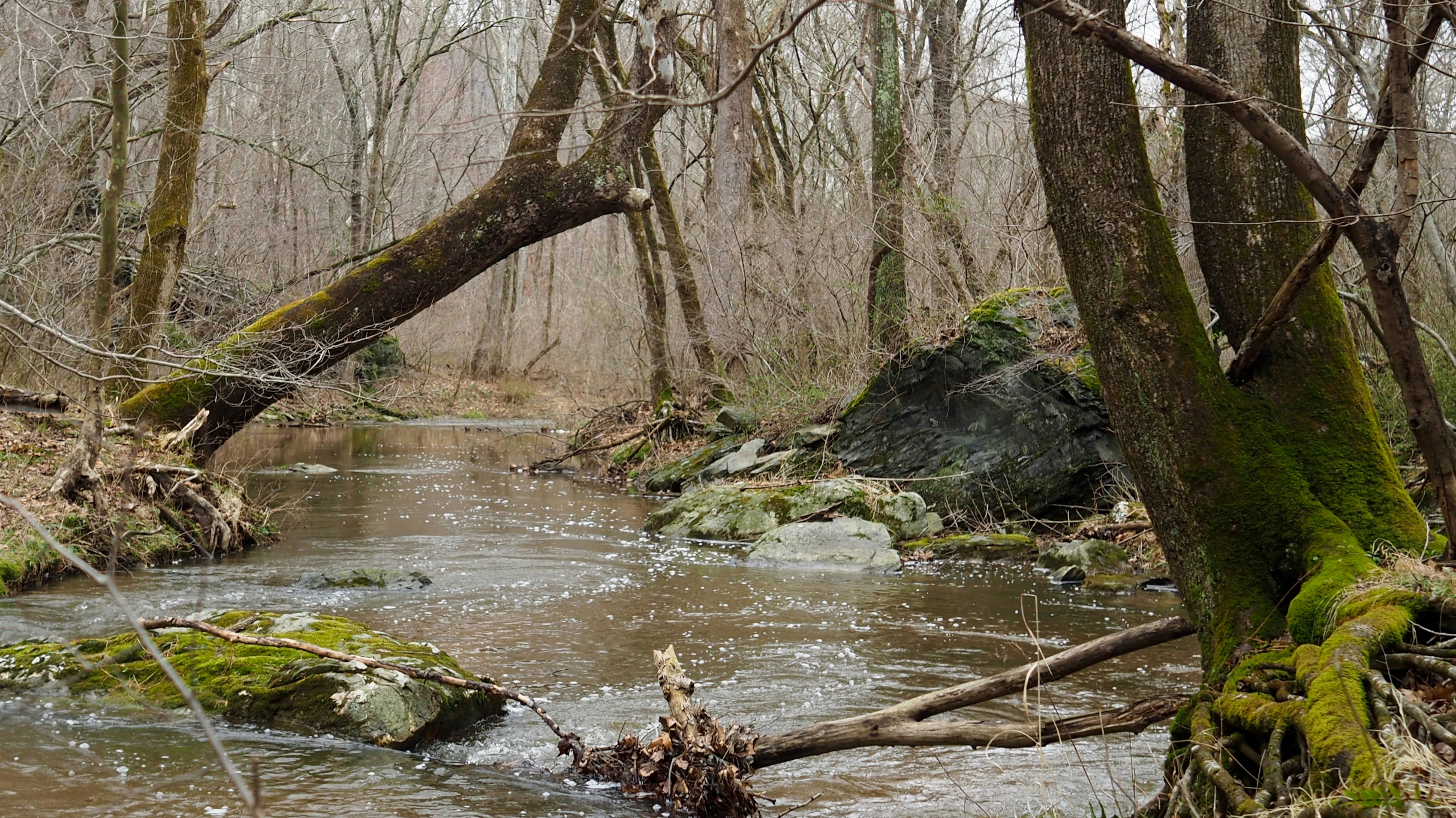 Free Unsplash photo from John Dancy