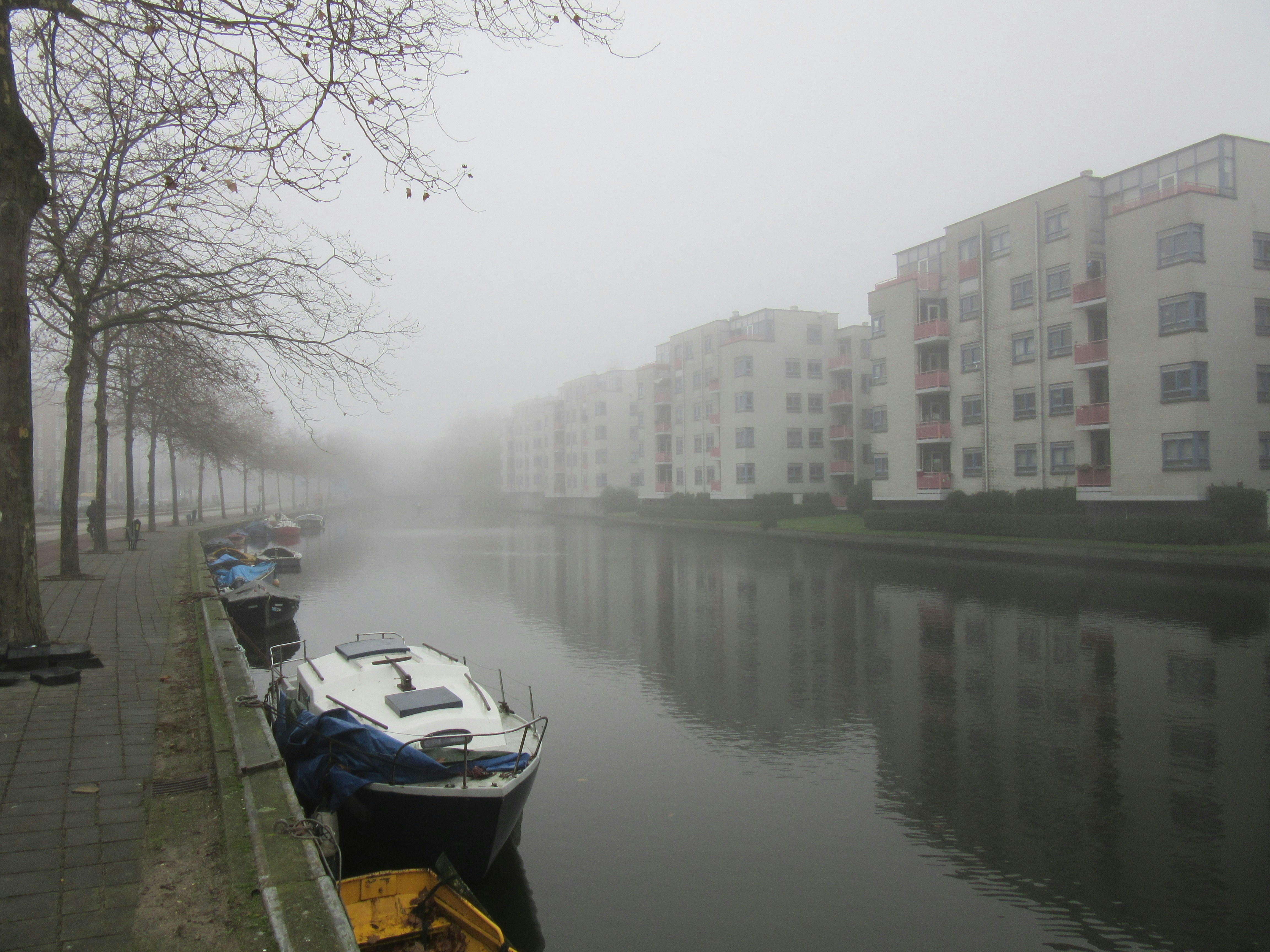 Free Unsplash photo from Rachel Arthur