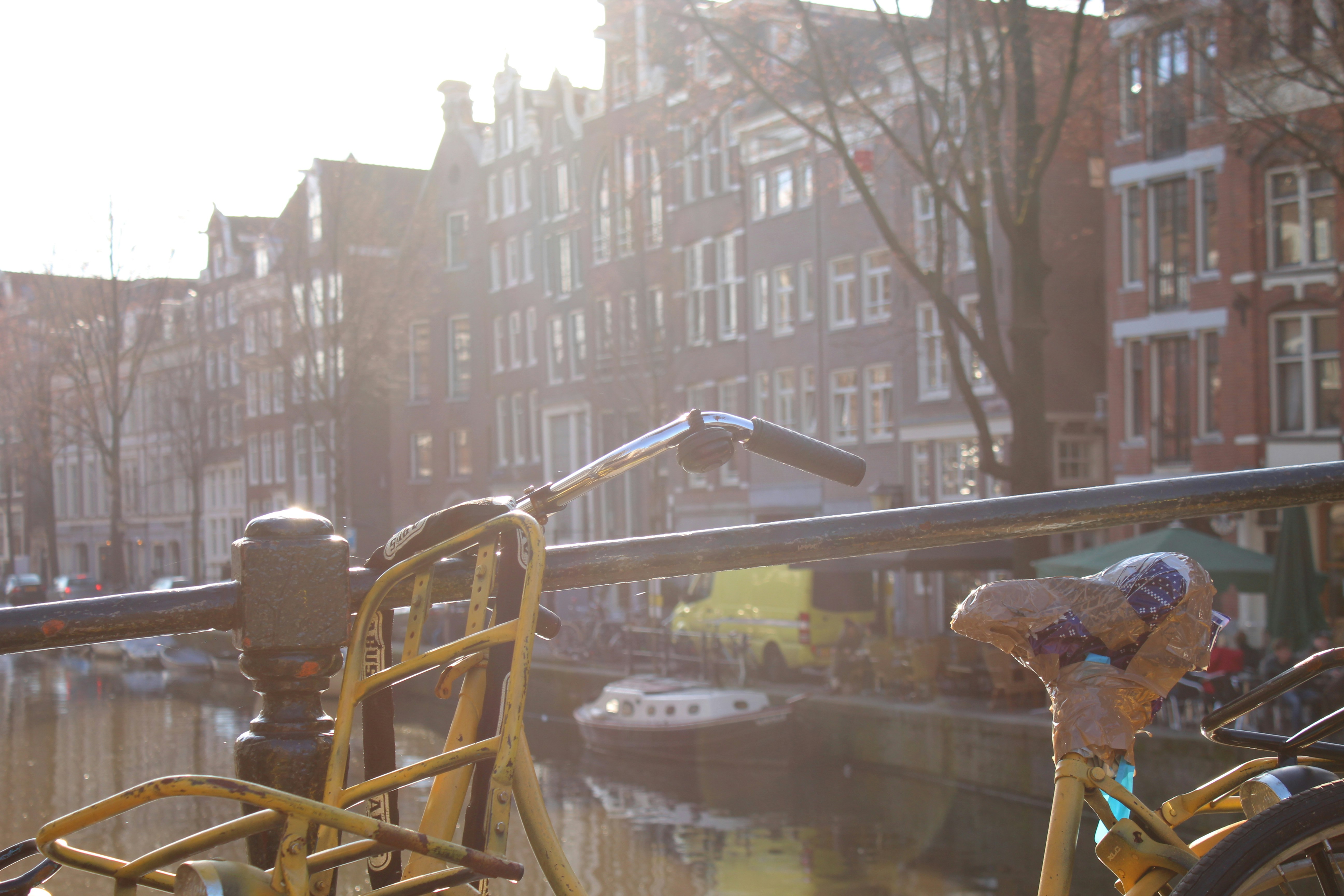 Free Unsplash photo from Şenel Kim