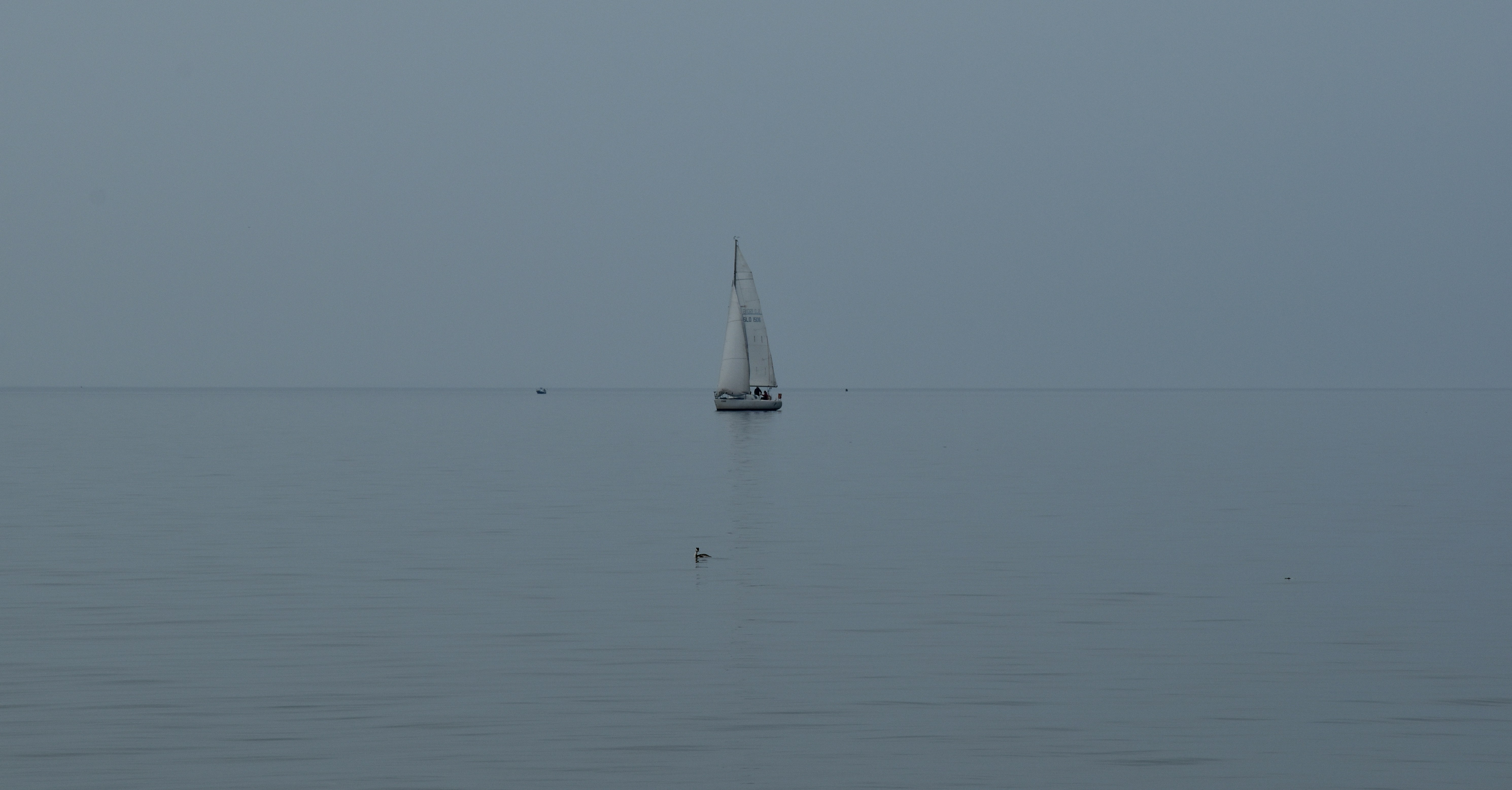 Free Unsplash photo from Medena Rosa