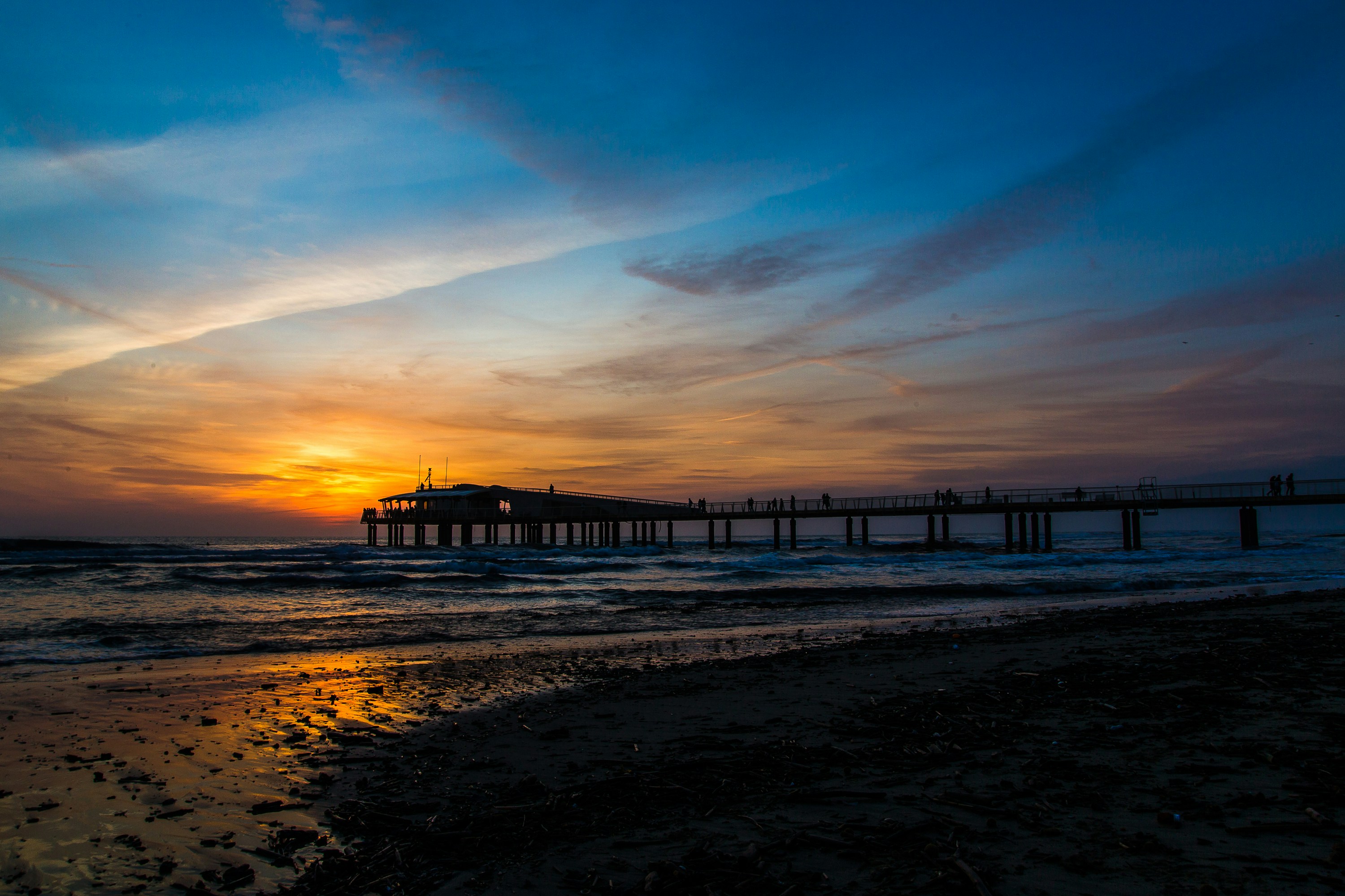 Free Unsplash photo from Andrea Zani