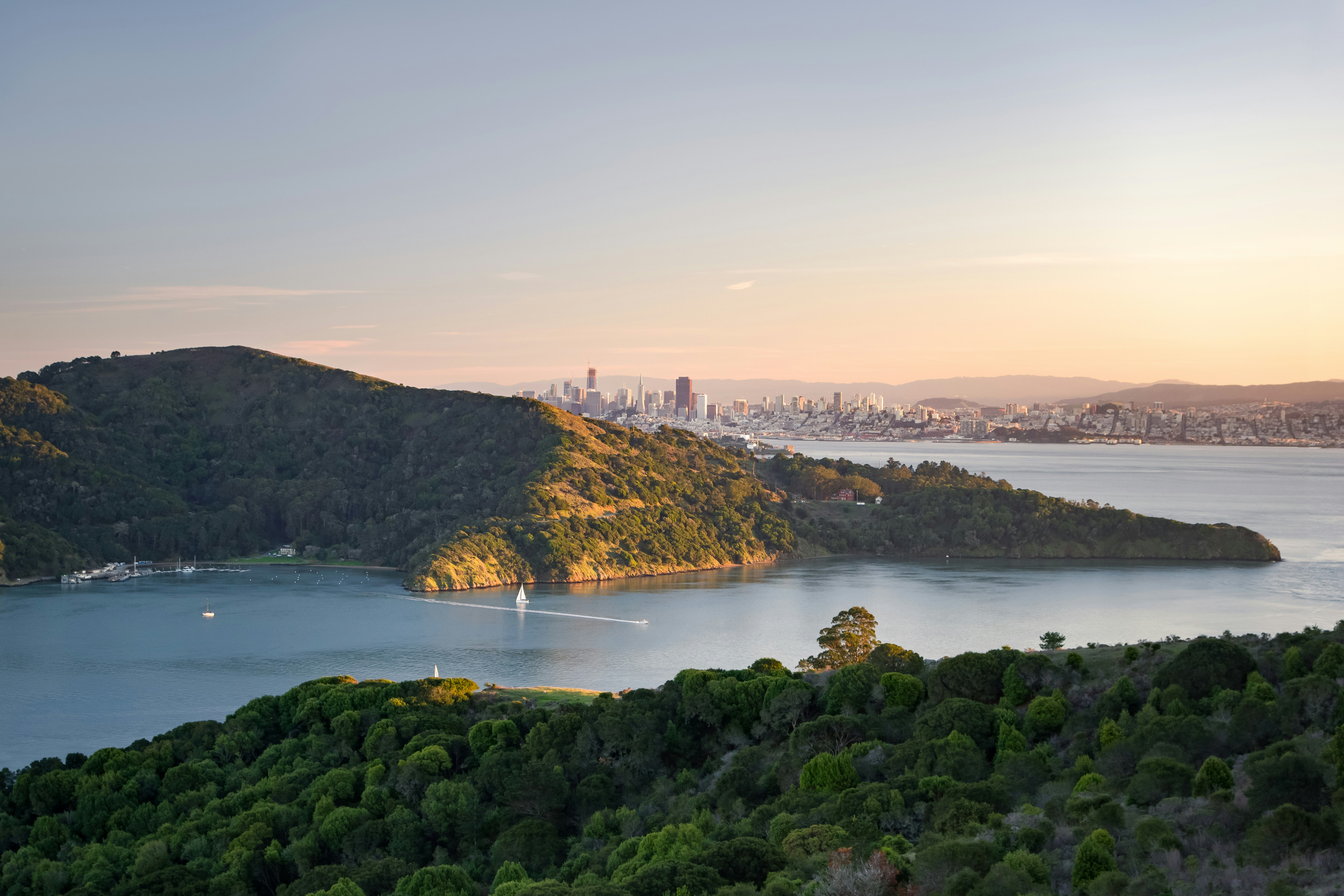 Free Unsplash photo from Matt McLean