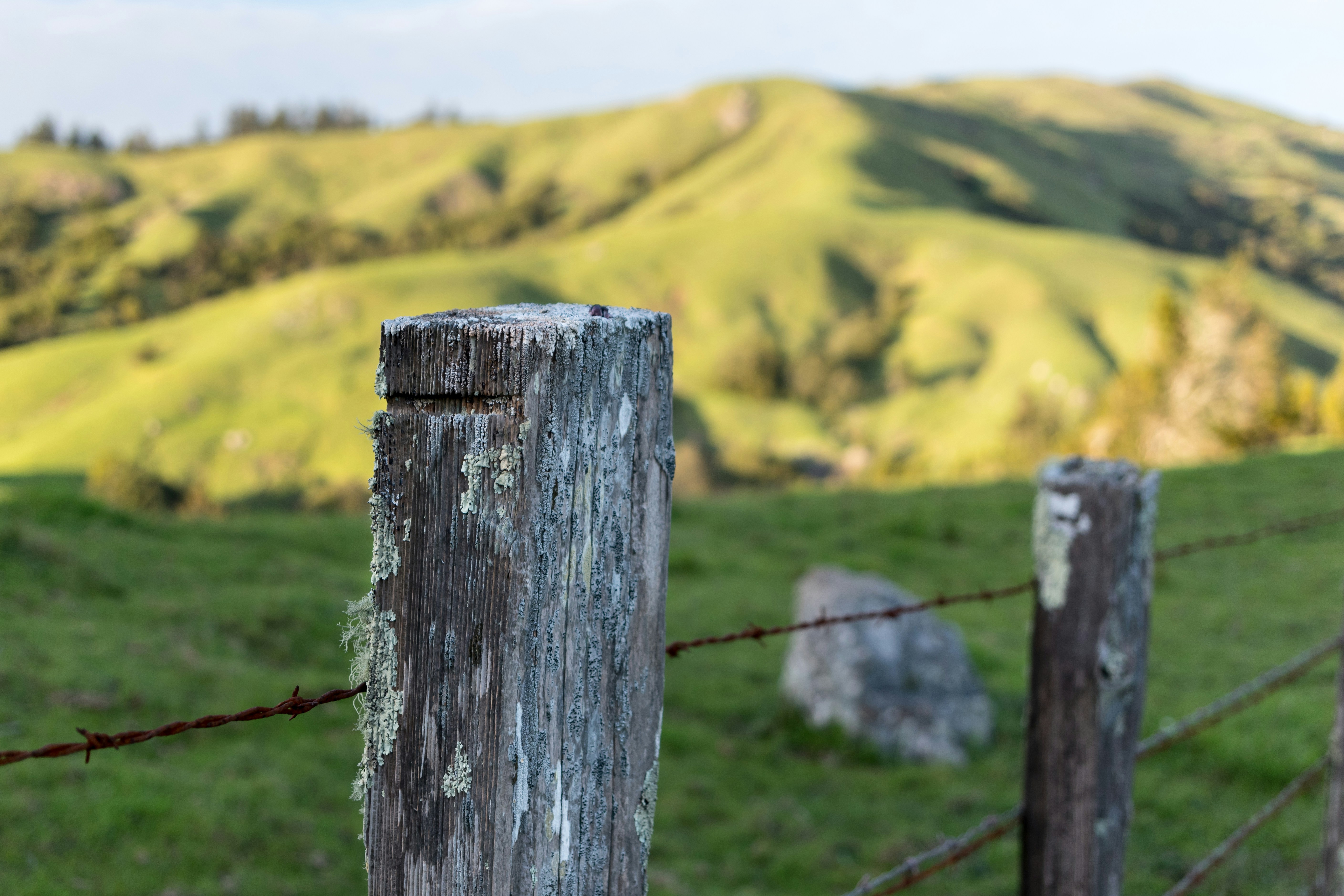 Free Unsplash photo from Matt McLean