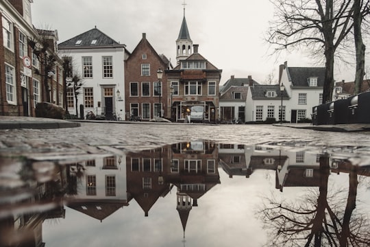 white and brown painted houses near tree in Amersfoort Netherlands