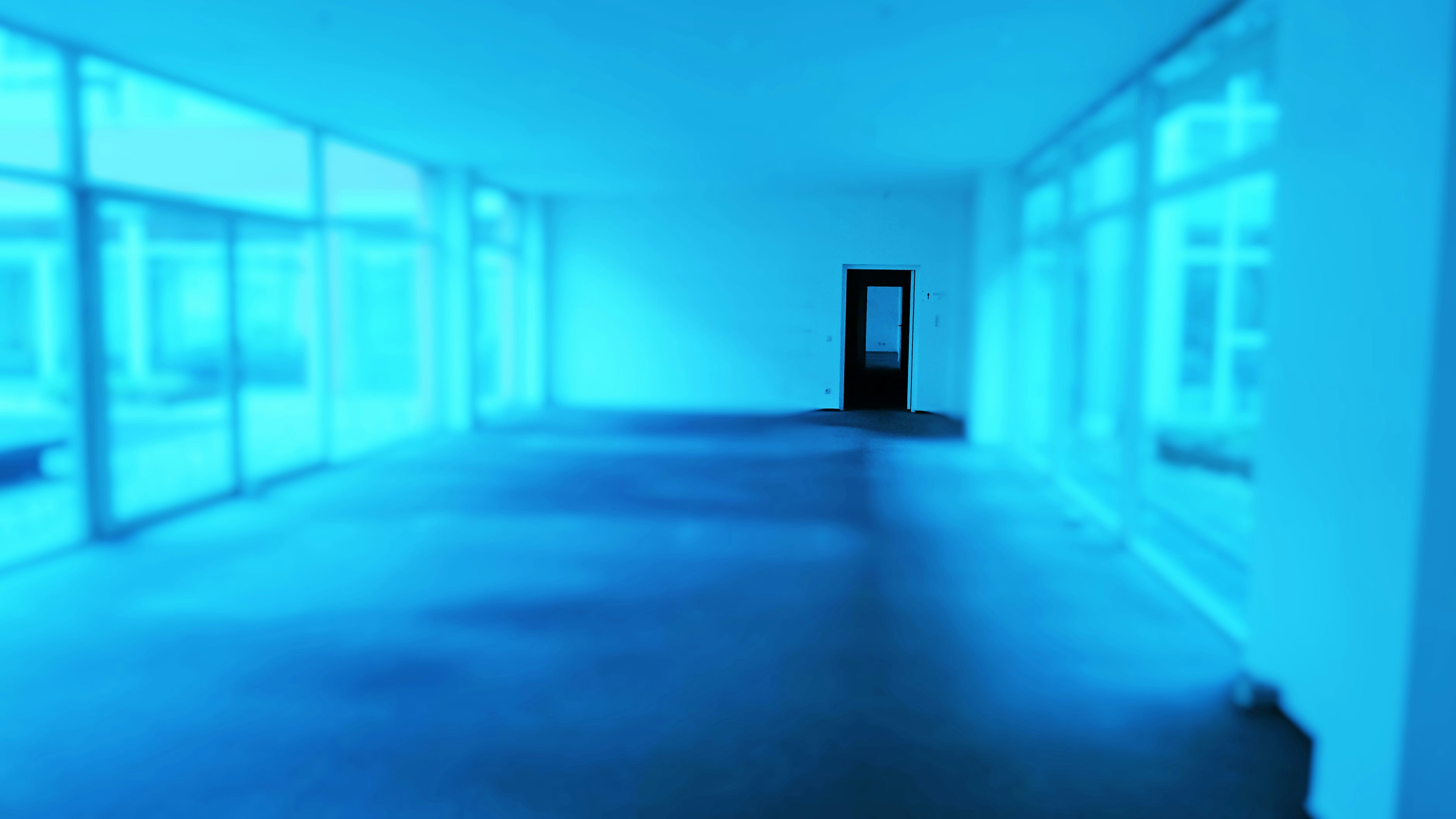 Free Unsplash photo from Jutta Lantz