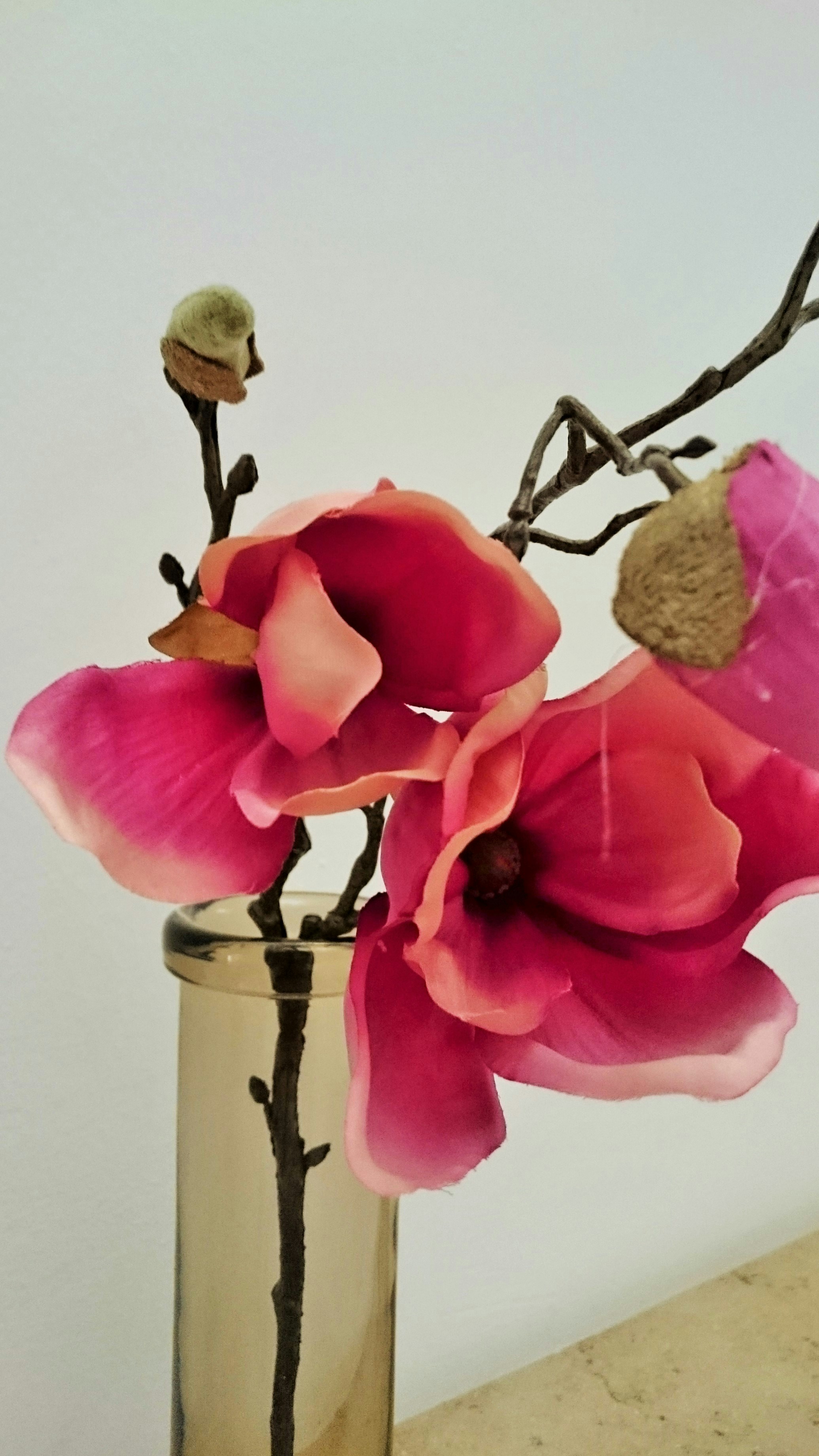 Free Unsplash photo from Jutta Lantz