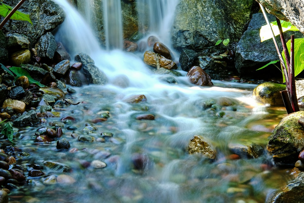 River sulla fotografia a fuoco