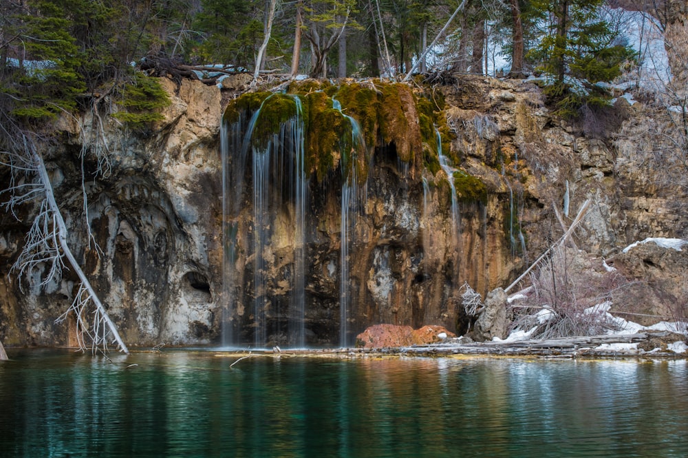 body of water surrounded by trees