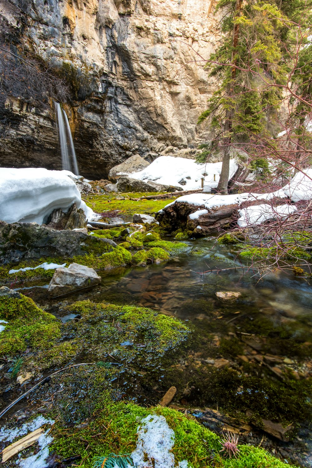 Árboles verdes y rocas durante el día