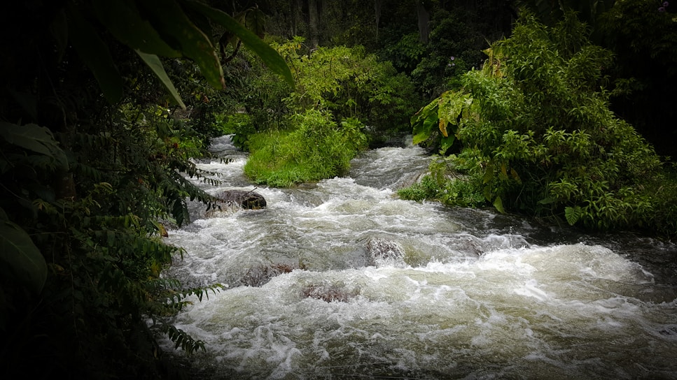 A flowing natural spring surrounded by lush green vegetation under a clear sky.