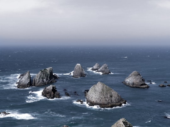 Nugget Point things to do in The Catlins