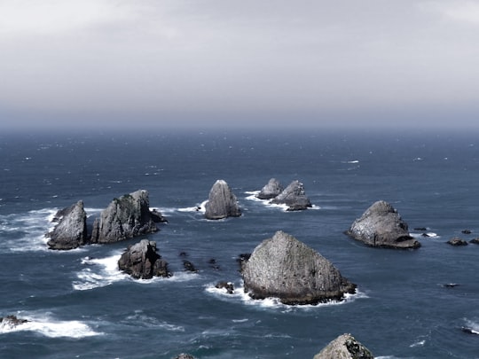 photo of islets surrounded by body of water in Nugget Point New Zealand