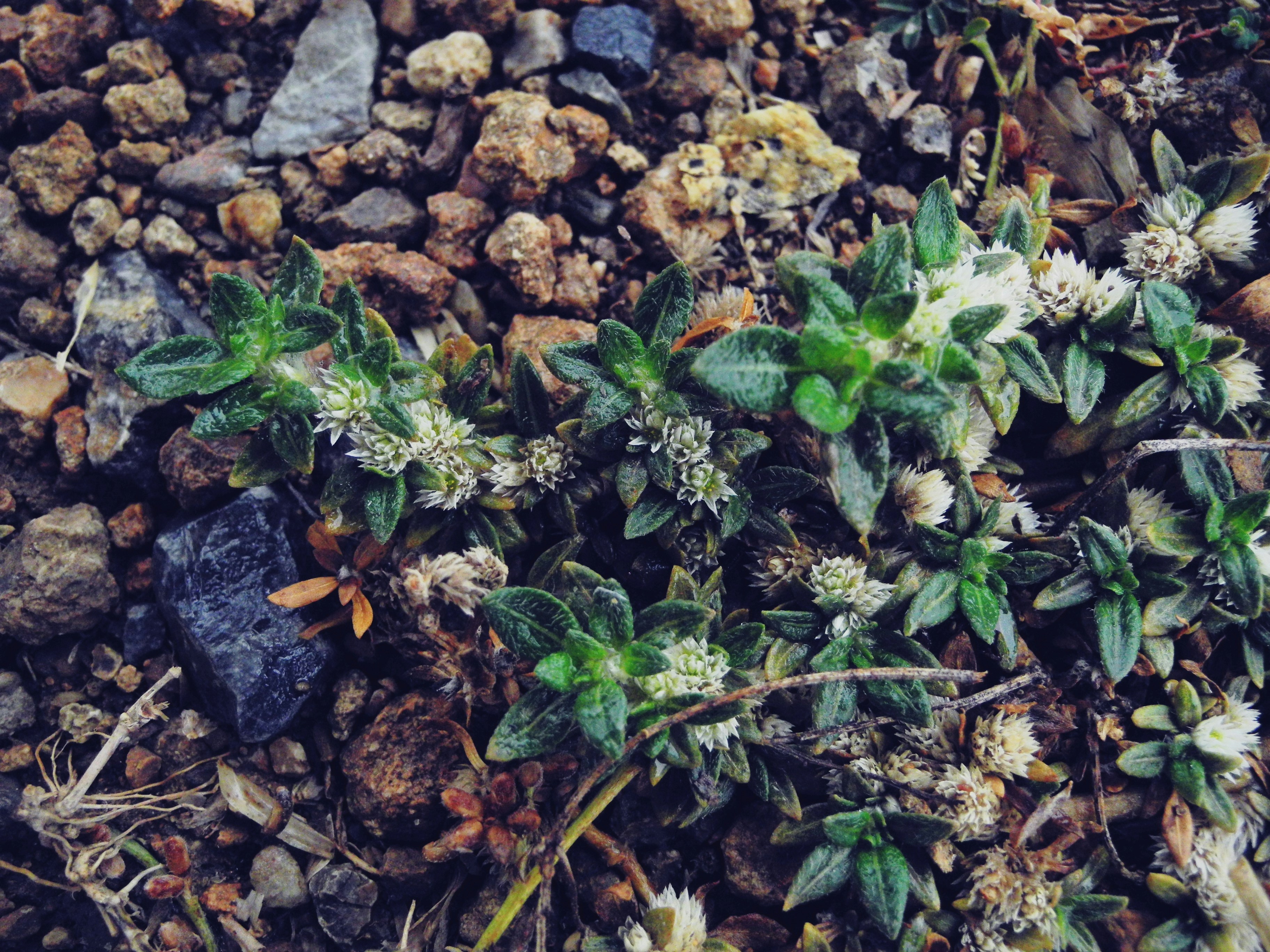 Free Unsplash photo from Enrique Montrí  R. Velázquez