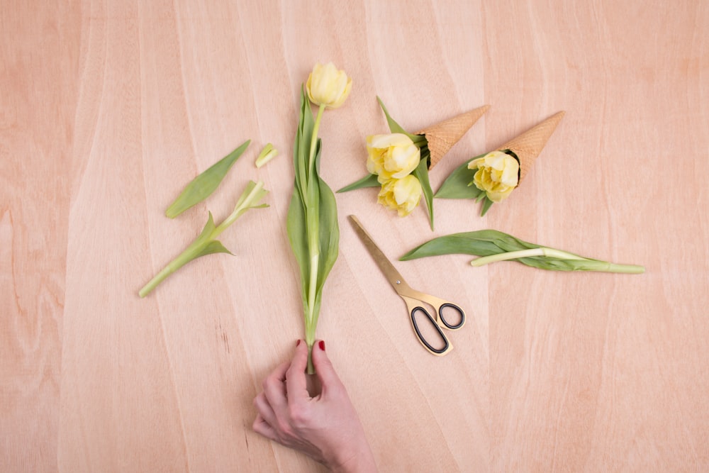 yellow petaled flower cut and placed on cones