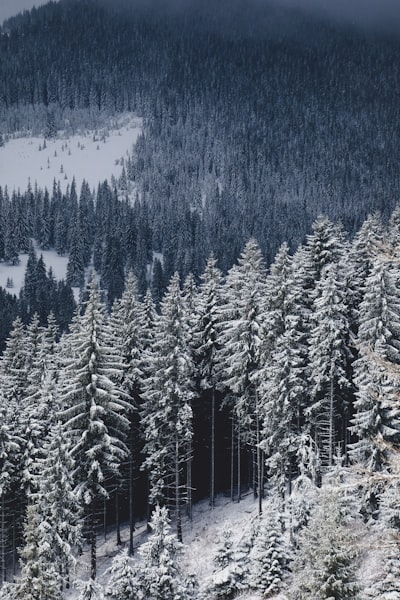 Super Besse