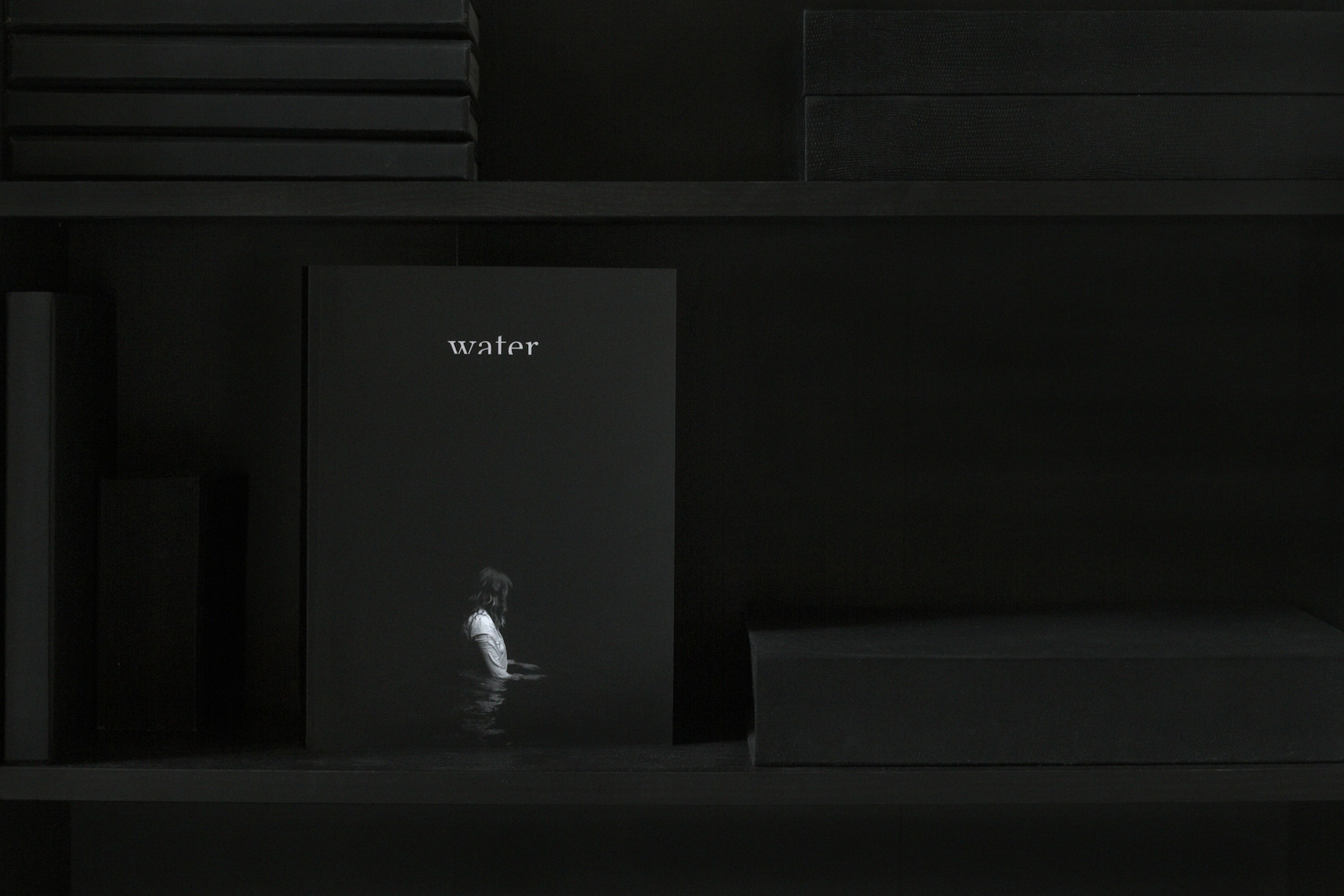 Buku Terjemahan dan Karya Lokal