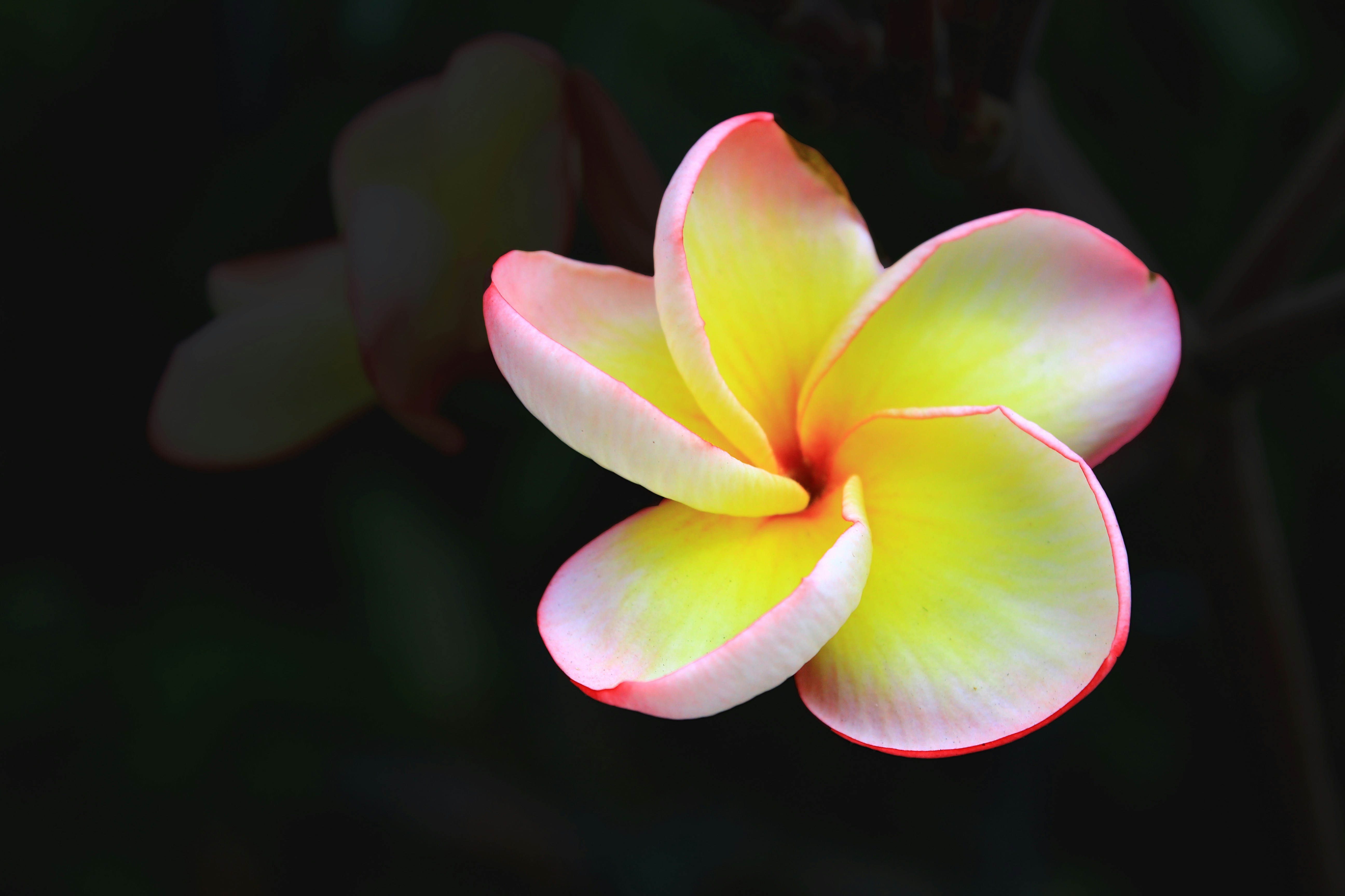 Free Unsplash photo from Jay El Bautista