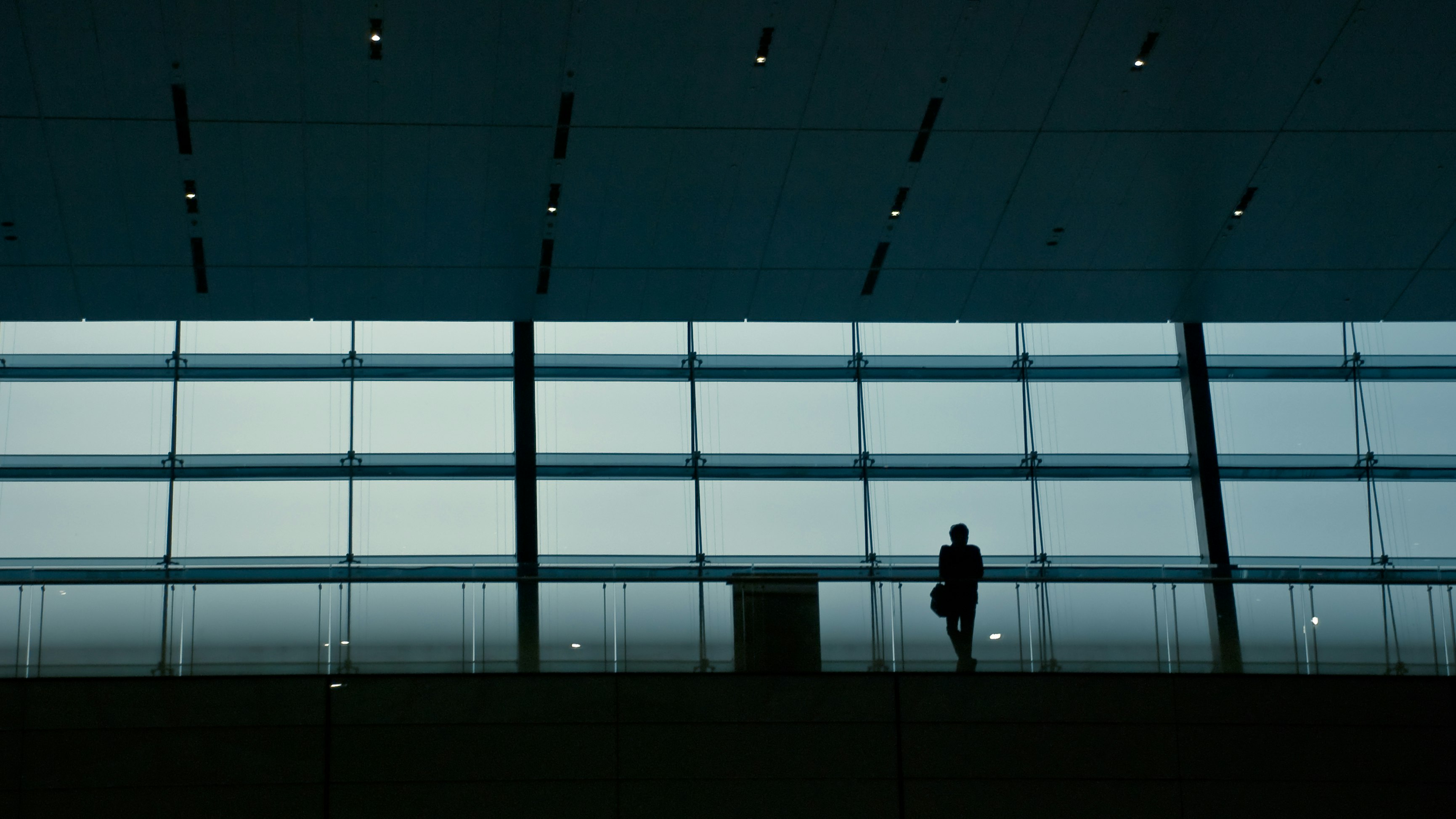 silhouette photography of person standing behind glass wall