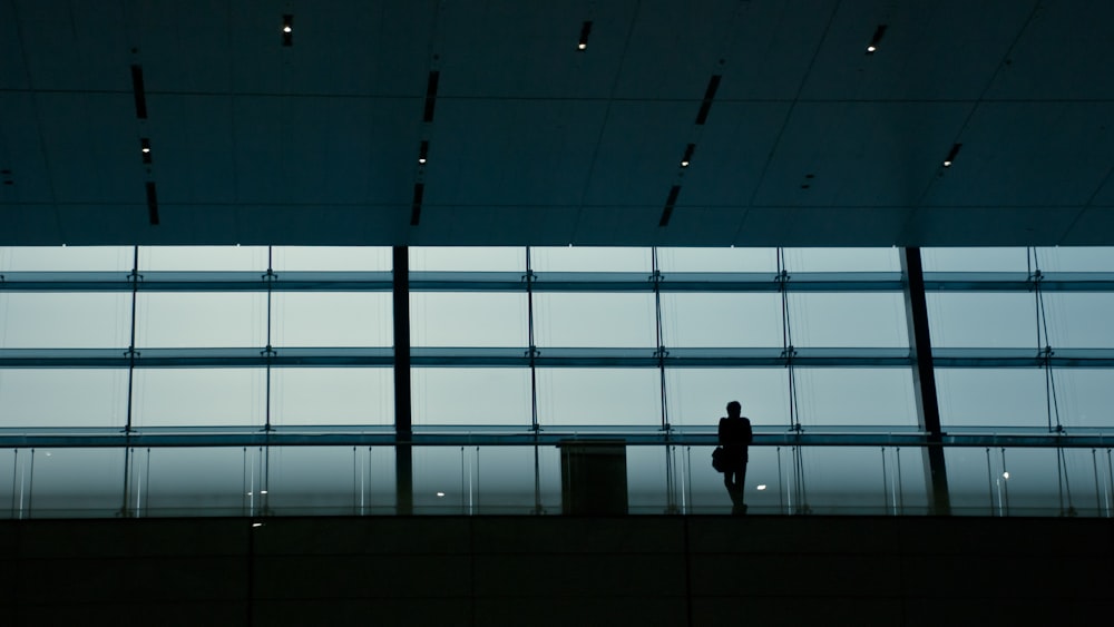 silhouette photography of person standing behind glass wall