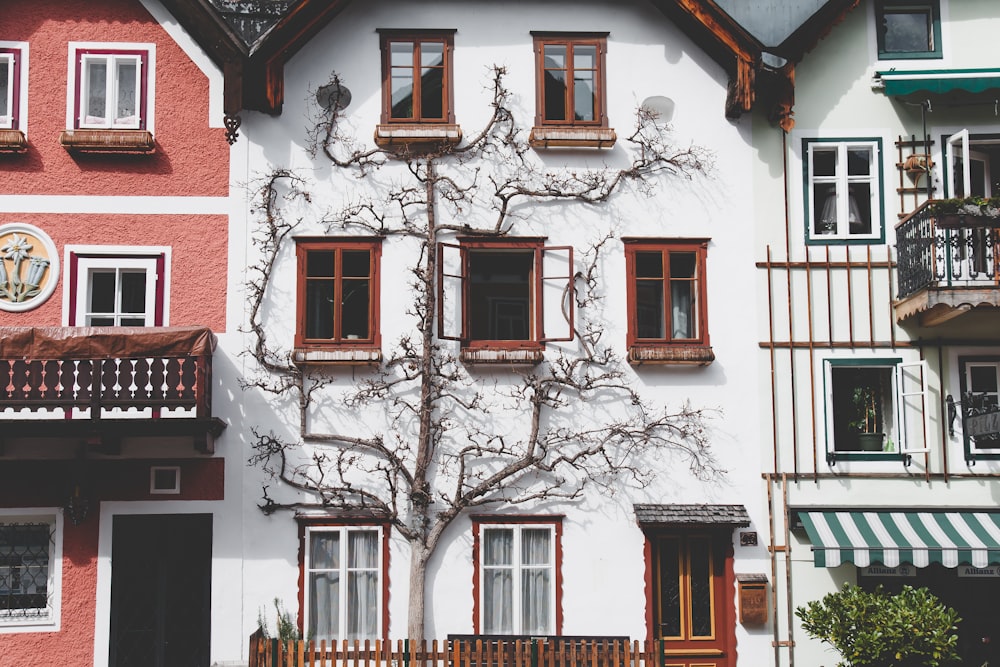 Casa blanca con árbol