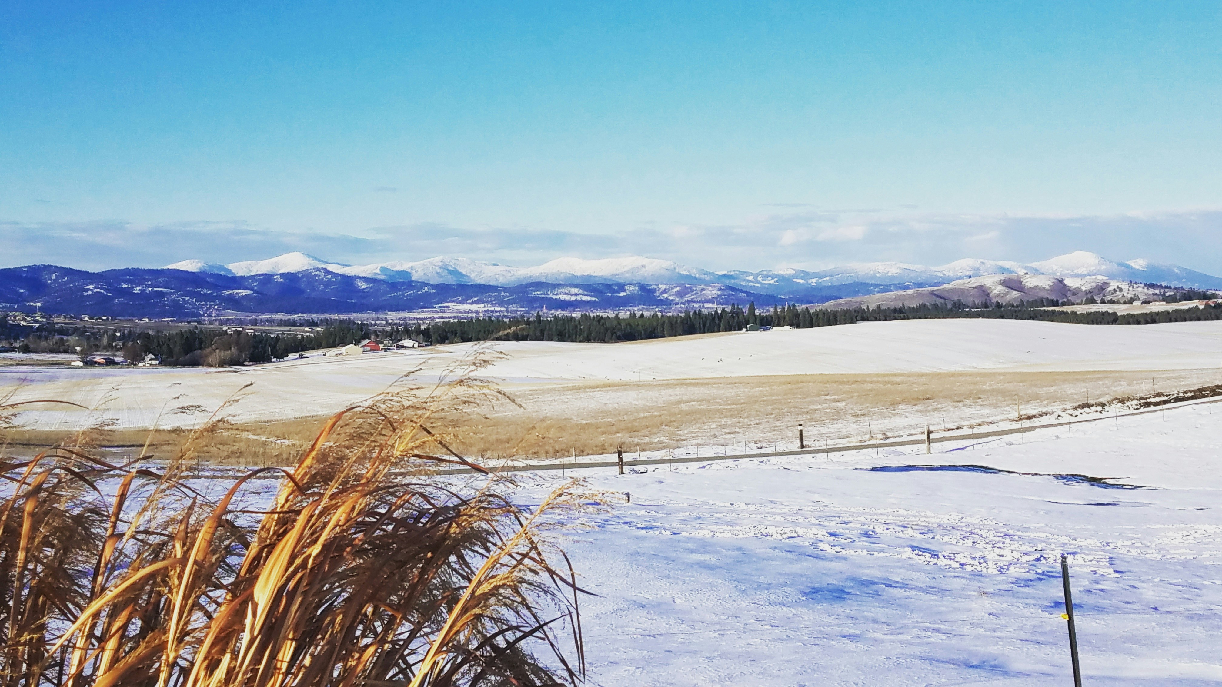 Free Unsplash photo from Nick Peterson