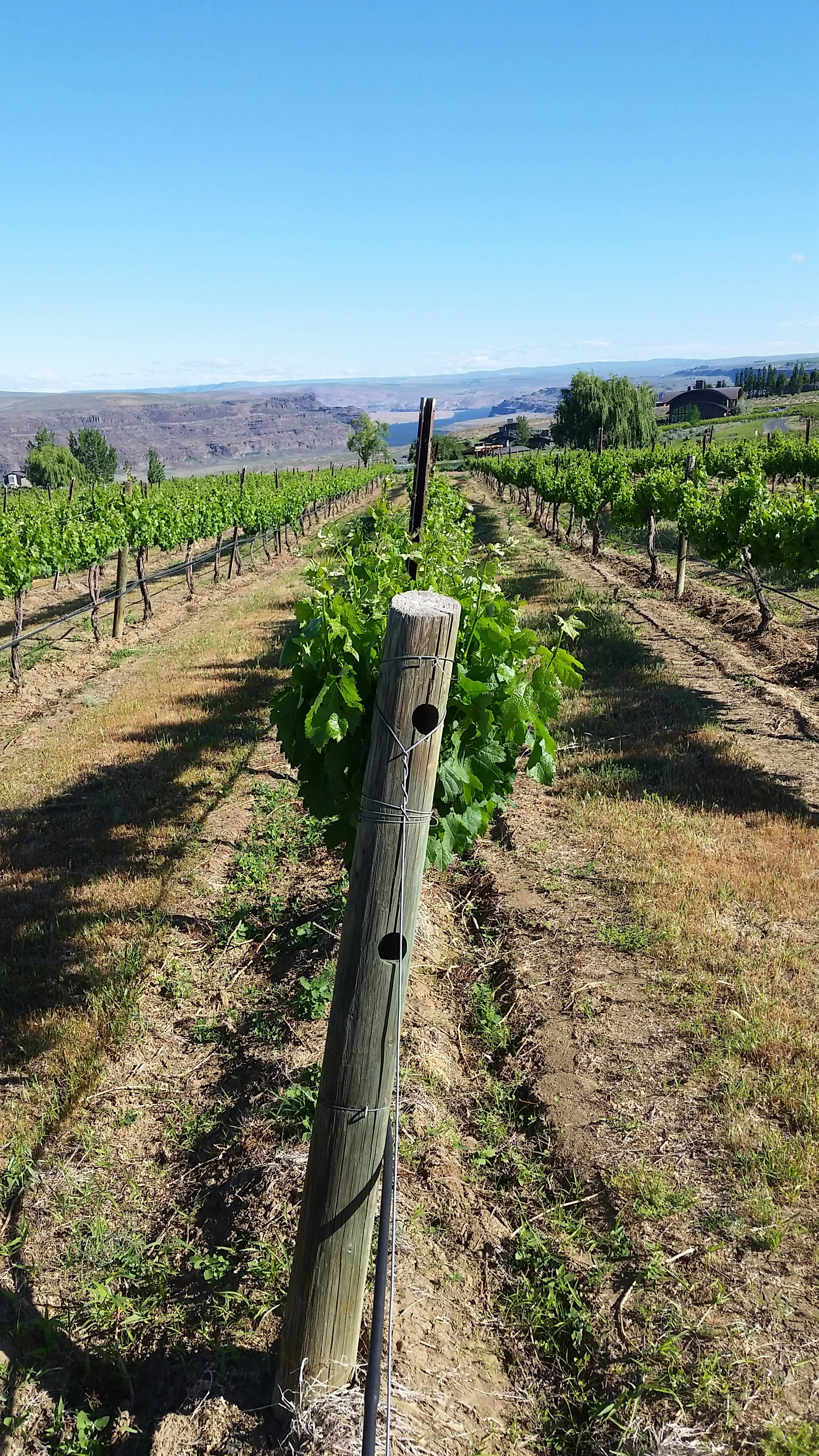 Free Unsplash photo from Nick Peterson