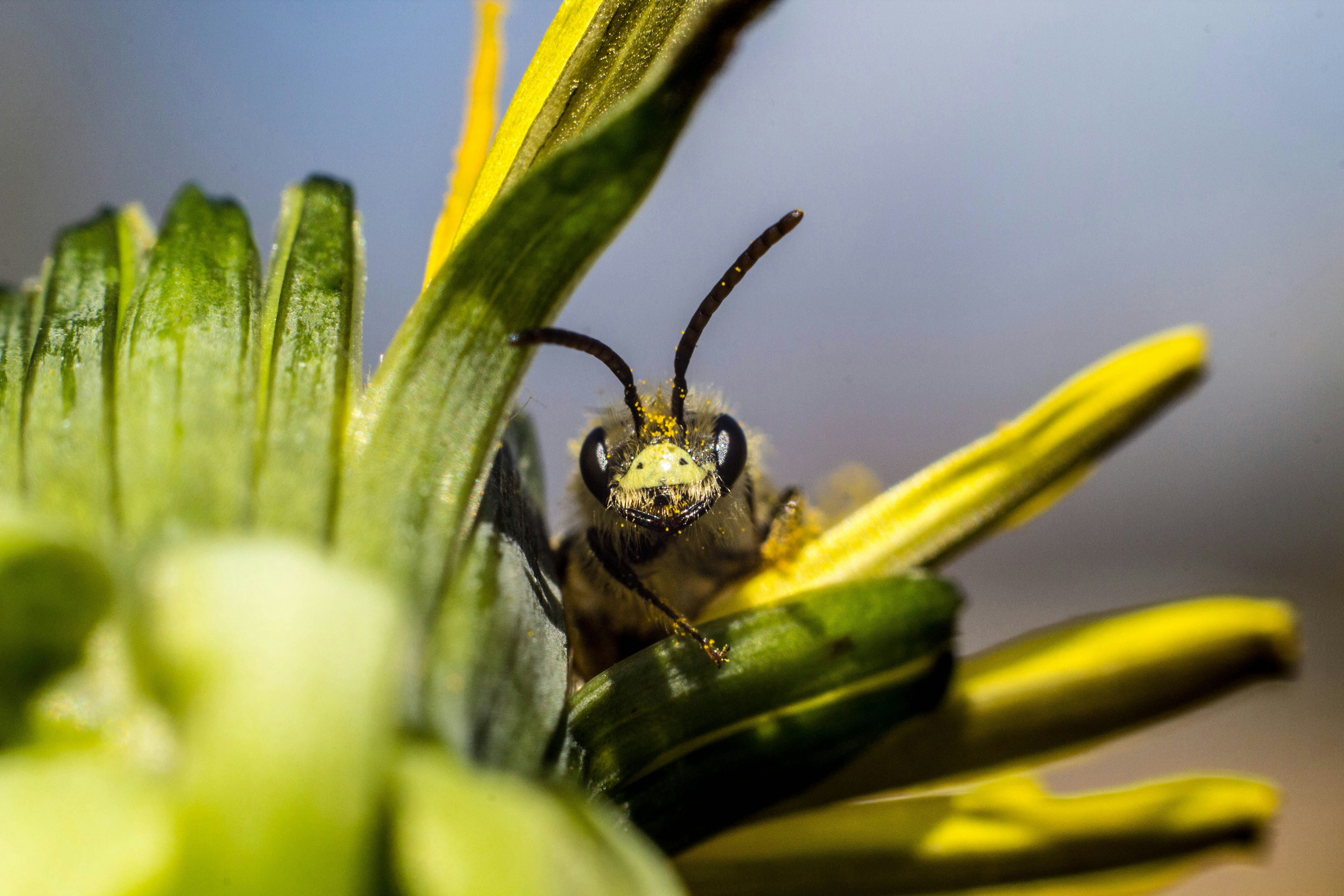 Free Unsplash photo from Ryan Graybill