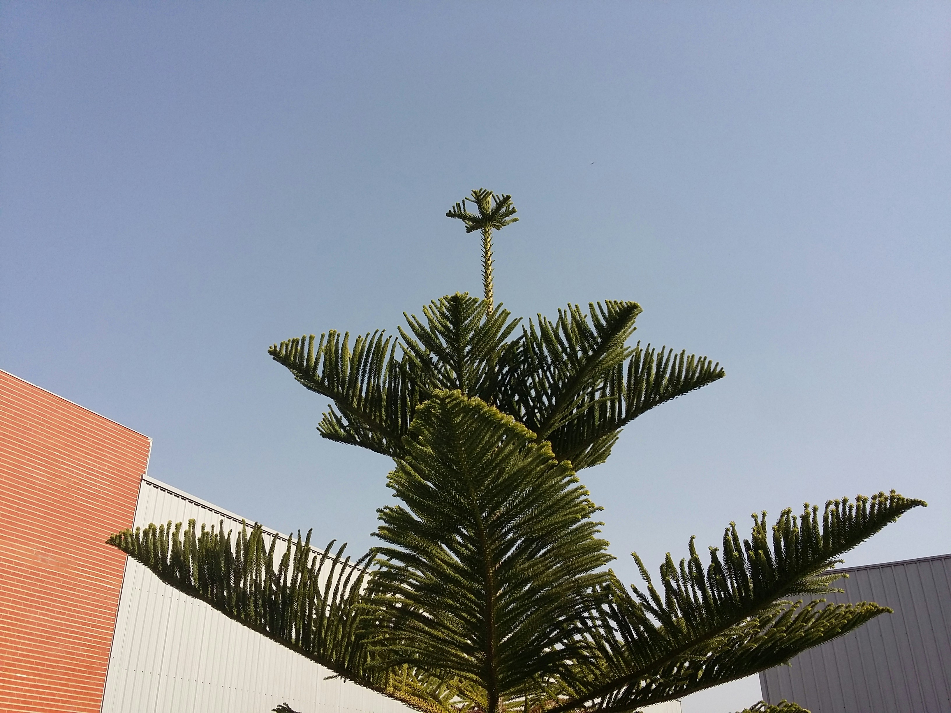 Free Unsplash photo from Filipa  Daniela