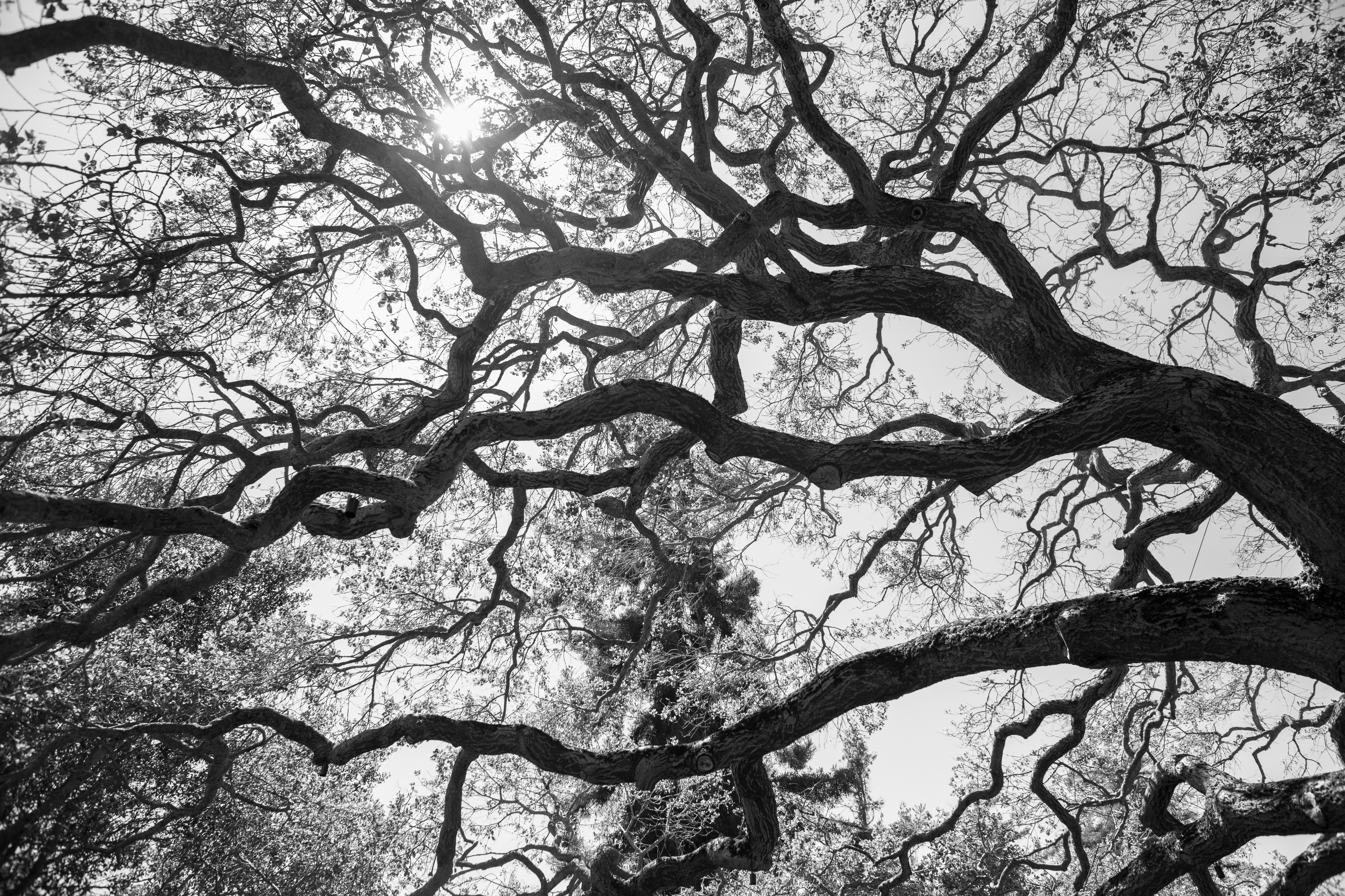 Free Unsplash photo from Teresa Breaux