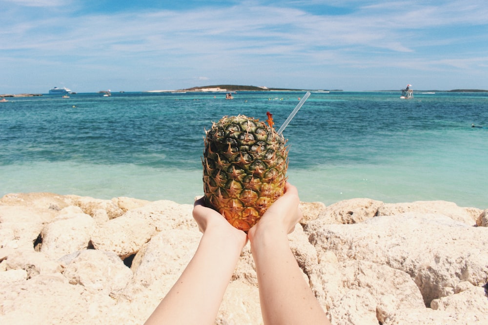 person holding pineapple on seashore during daytime