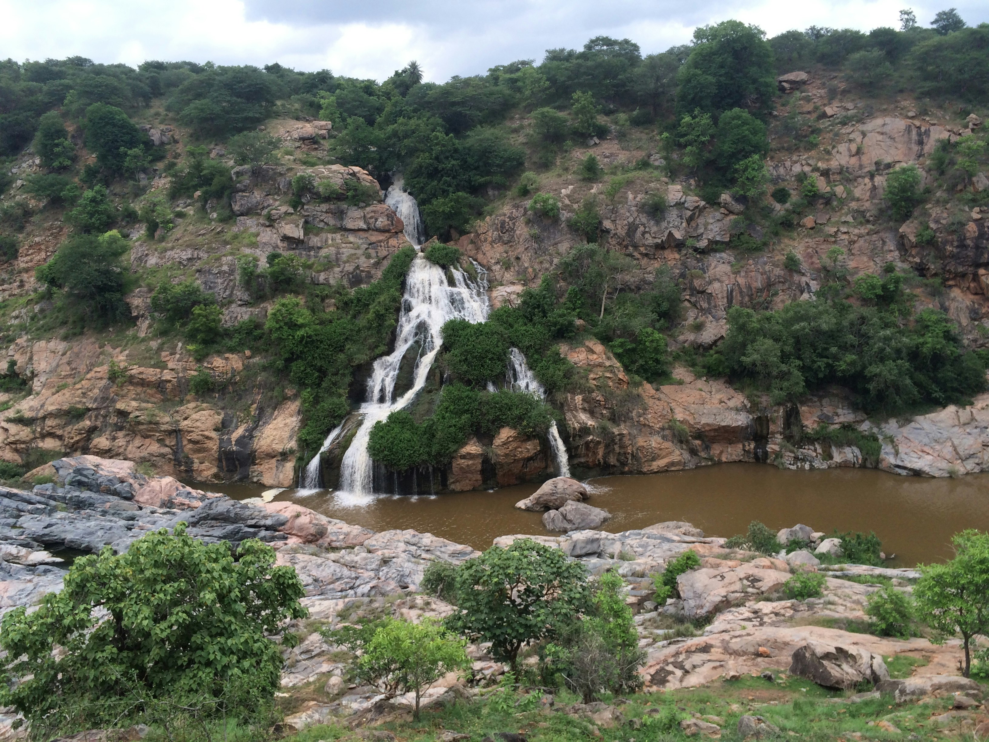 Free Unsplash photo from Vinay S