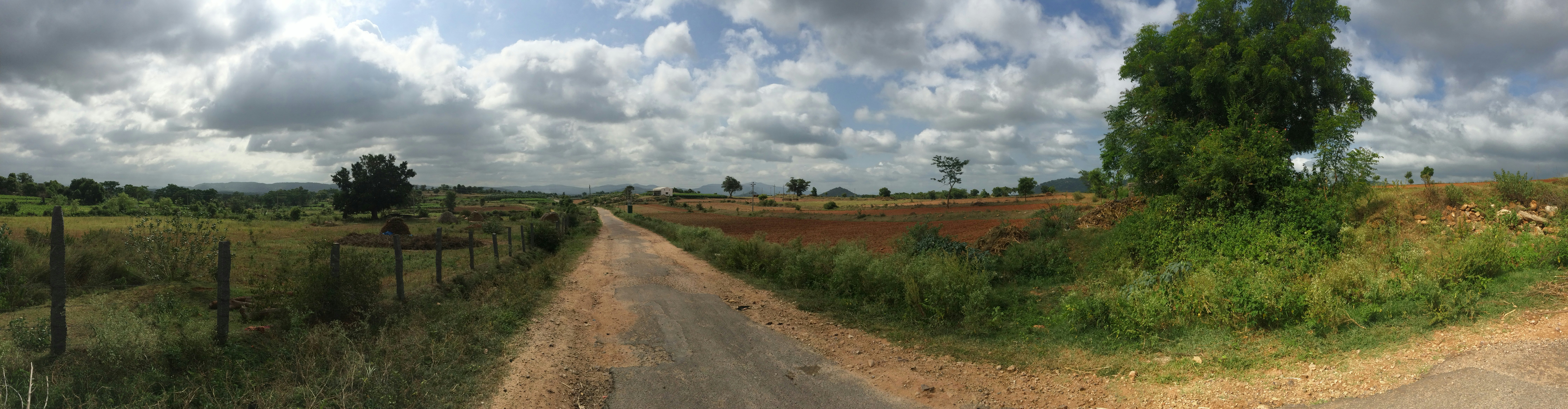 Free Unsplash photo from Vinay S