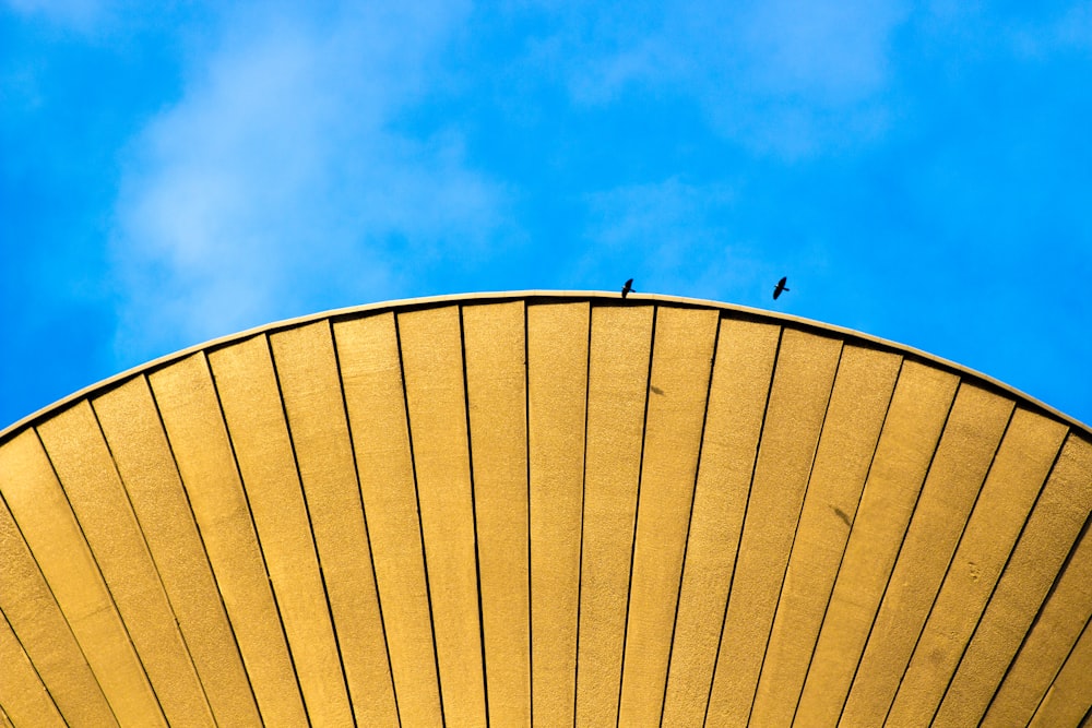 yellow oil umbrella under blue sky