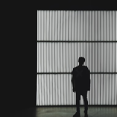 silhouette photo of a person standing near wall in dark room