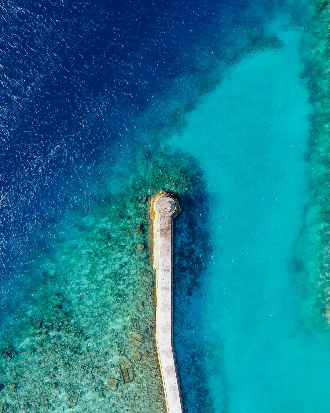 Underwater photo spot Felidhoo Maldives