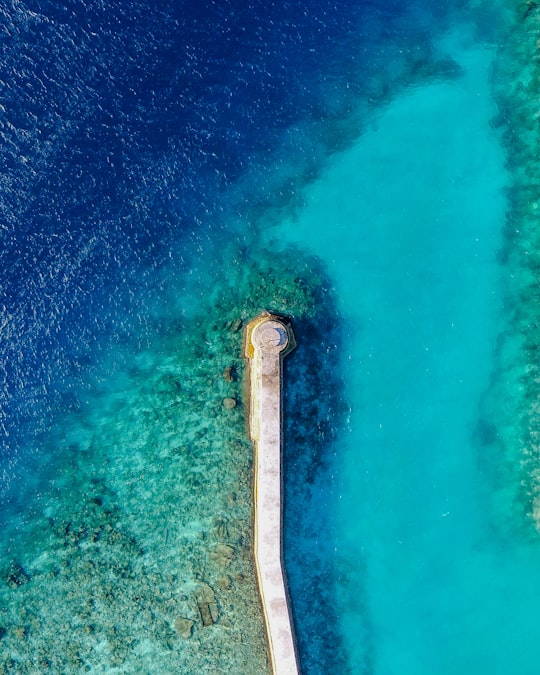 building between body of water in Felidhoo Maldives