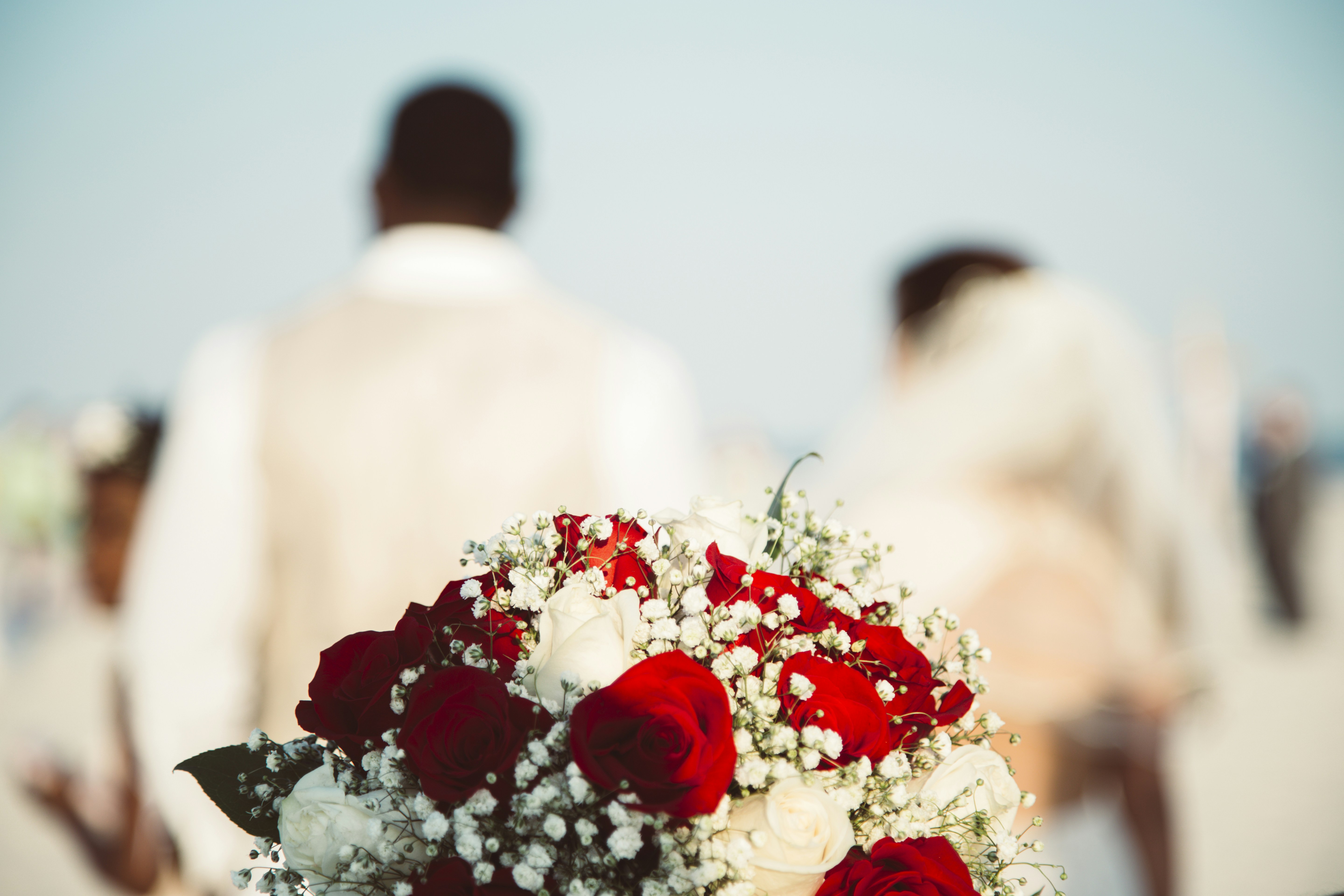 Free Unsplash photo from William Recinos