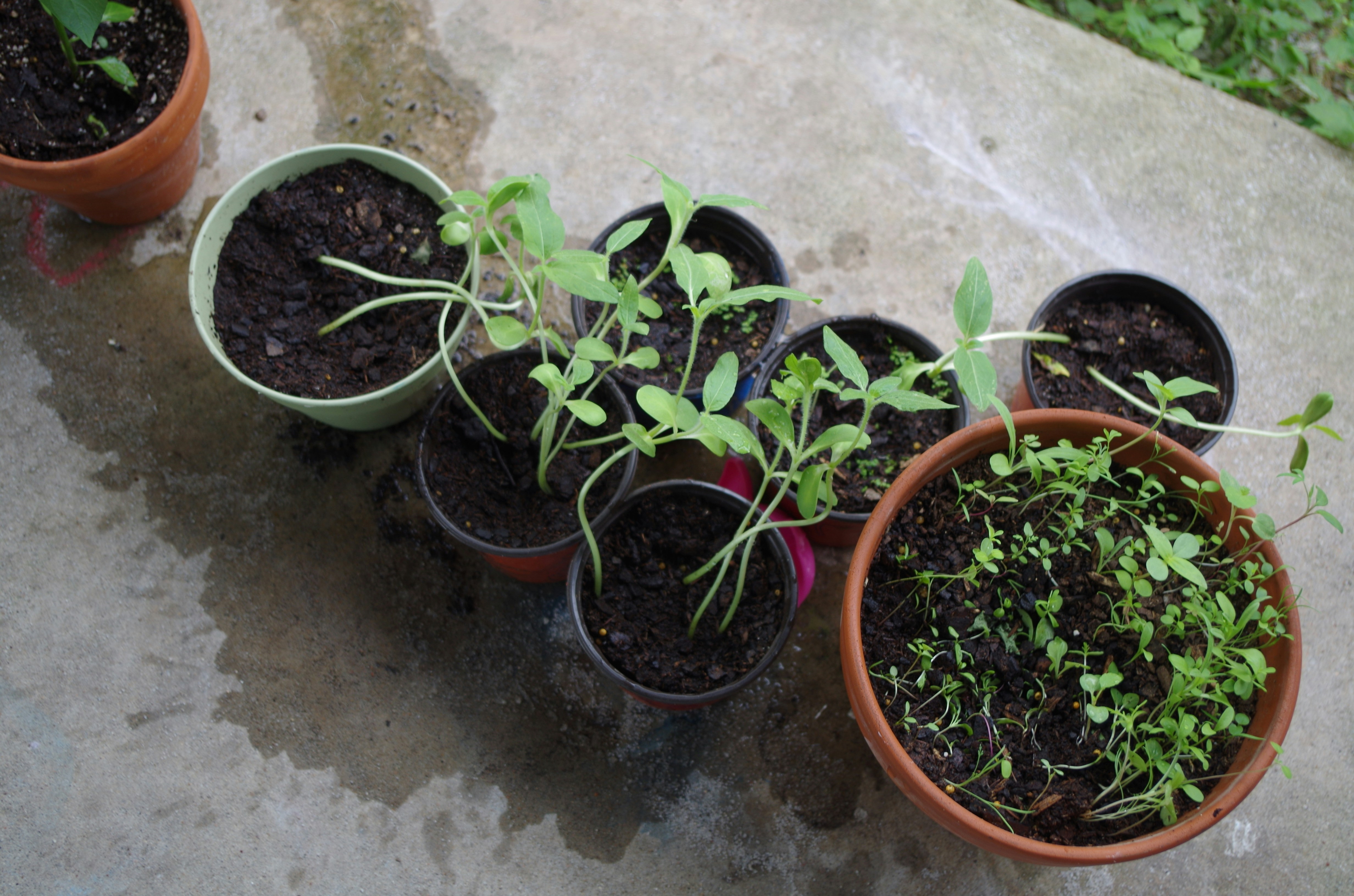 Free Unsplash photo from Erica Burden