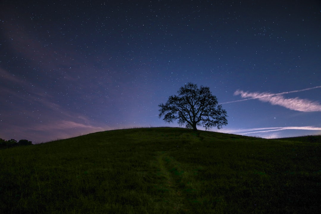 travelers stories about Hill in Malibu, United States