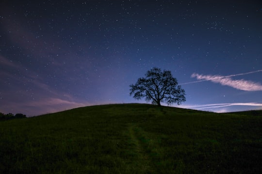 photo of Malibu Hill near Wayfarers Chapel