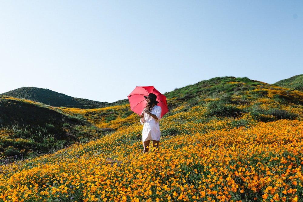 Frau, die auf orangefarbenem Blumenpflanzenfeld spazieren geht, während sie einen roten Regenschirm hält