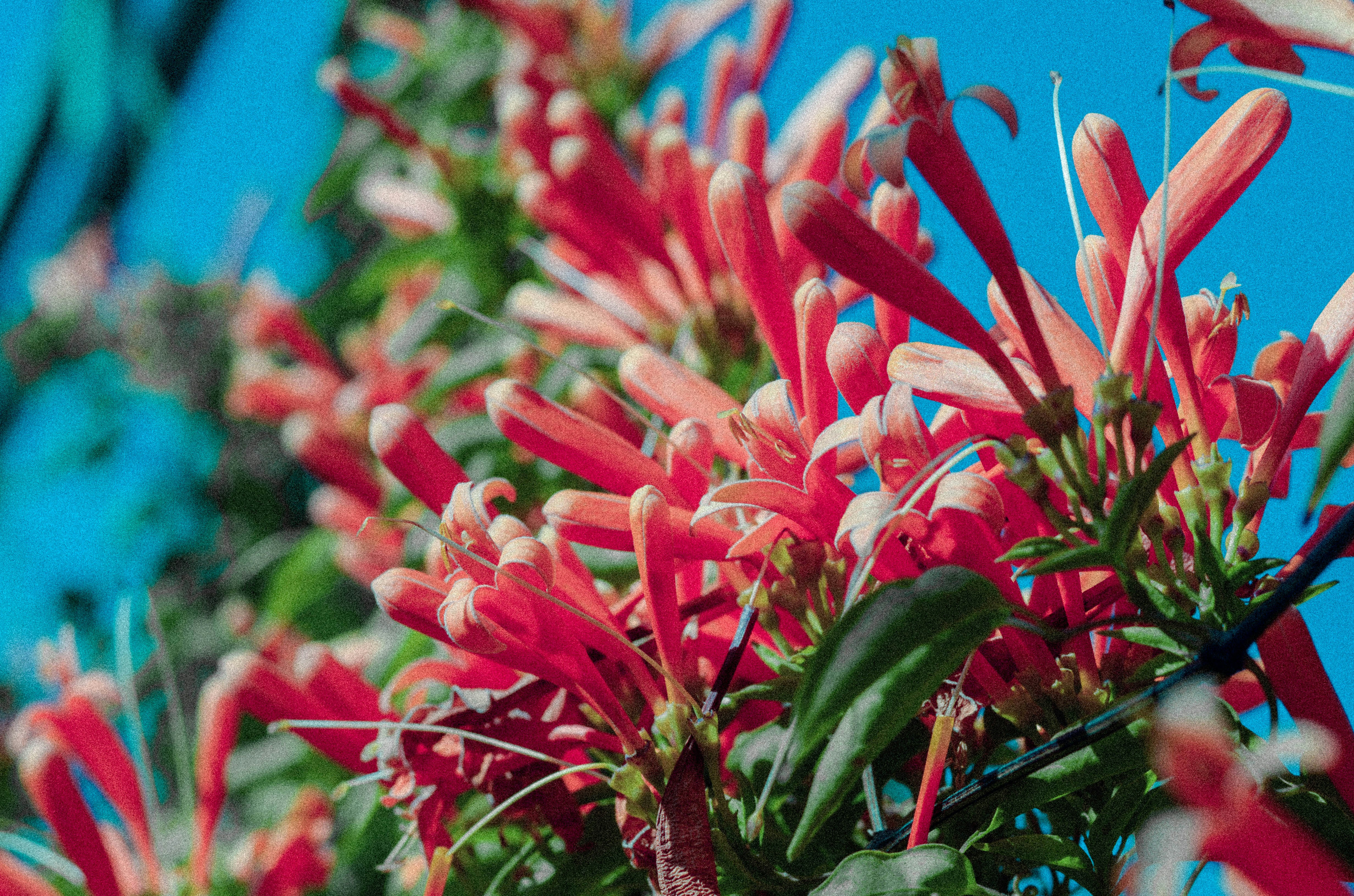 Free Unsplash photo from Pratiksha Chauhan