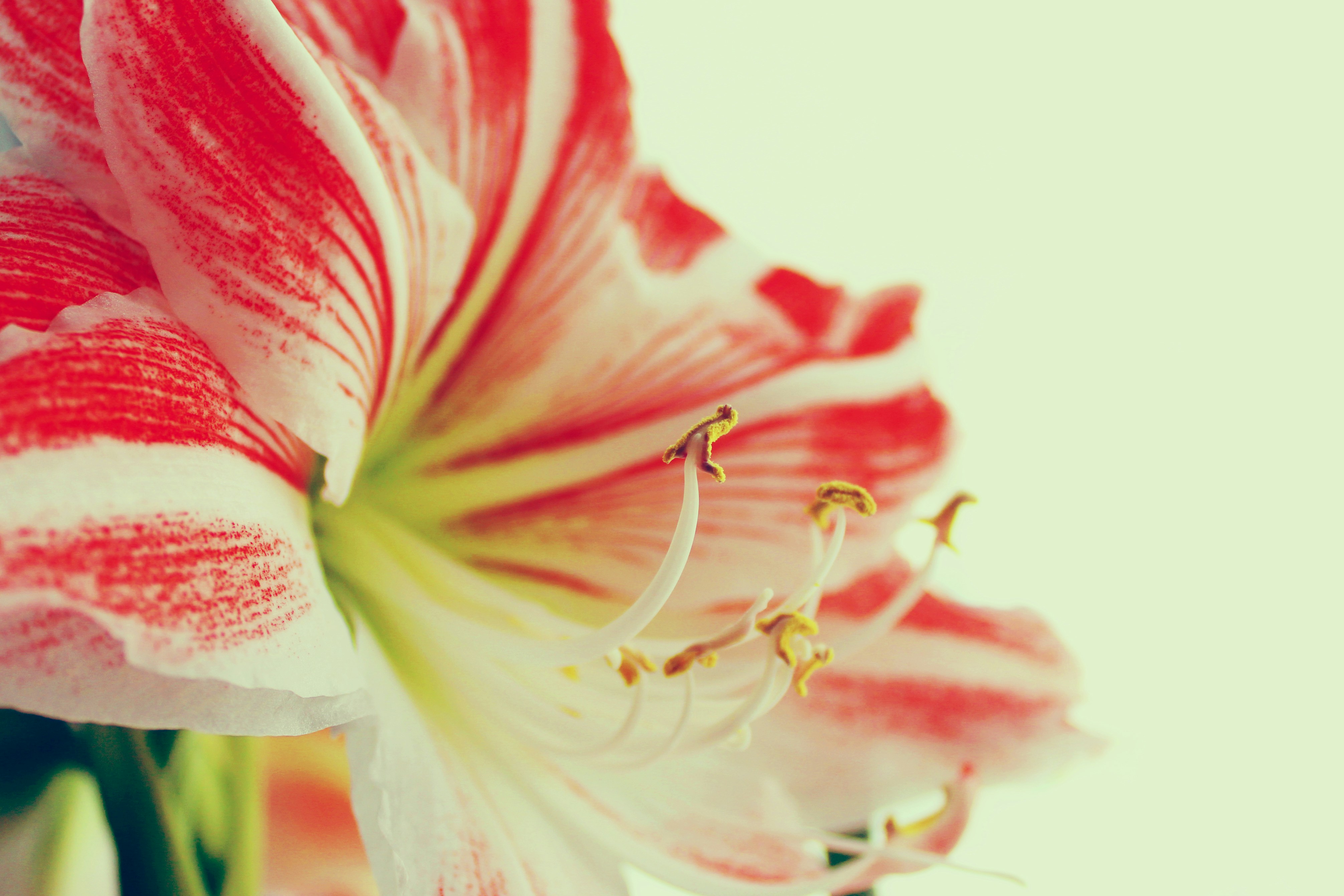 Free Unsplash photo from Mihail Sidorov