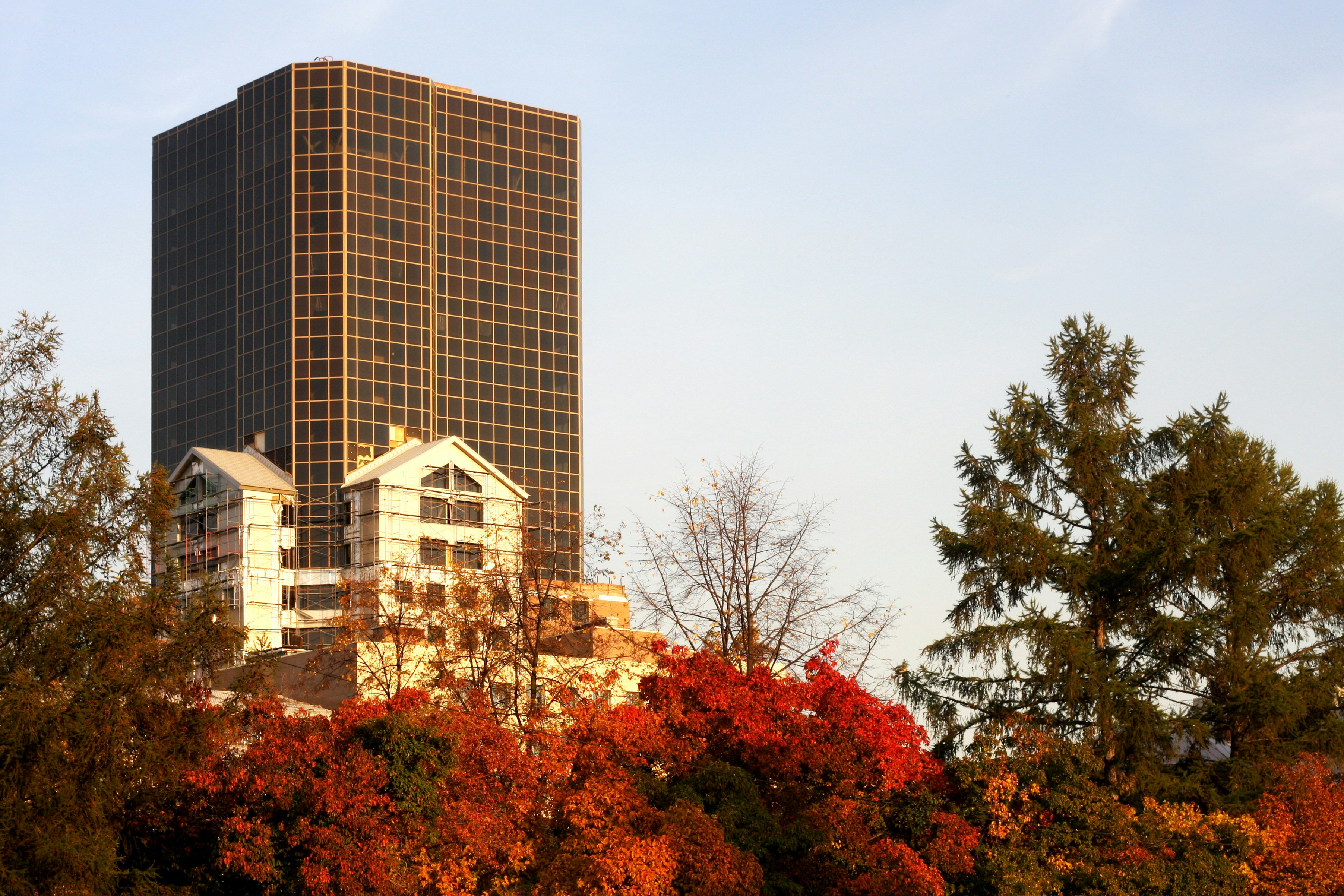 Free Unsplash photo from Mihail Sidorov