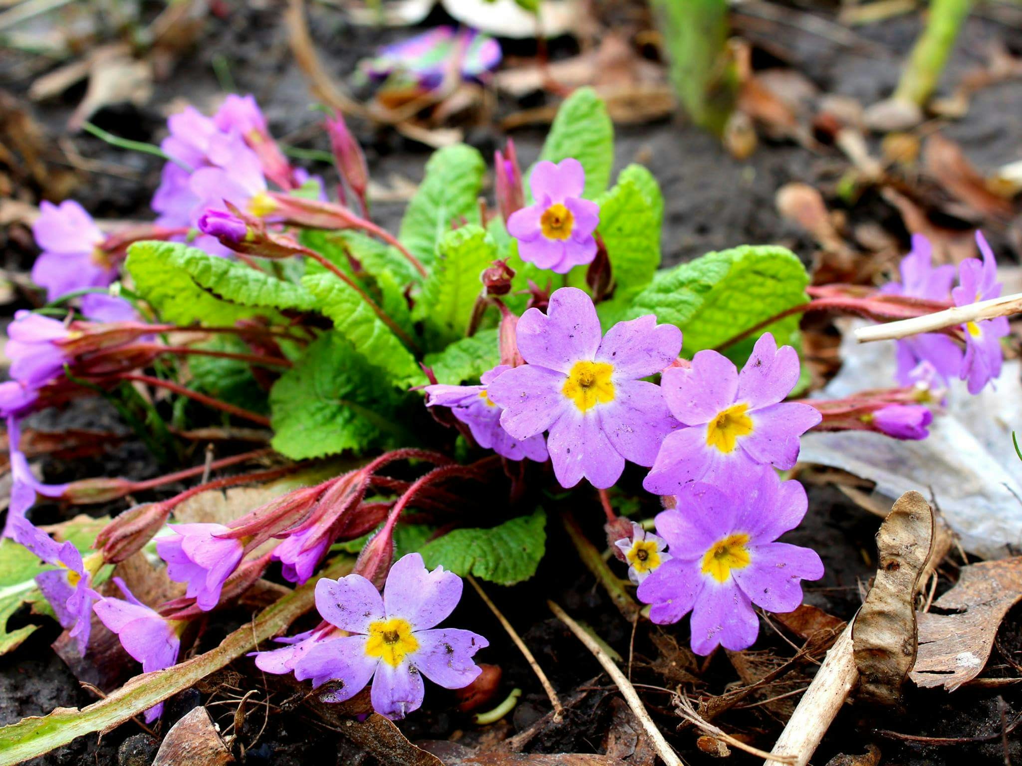 Free Unsplash photo from Abecha Angaobi